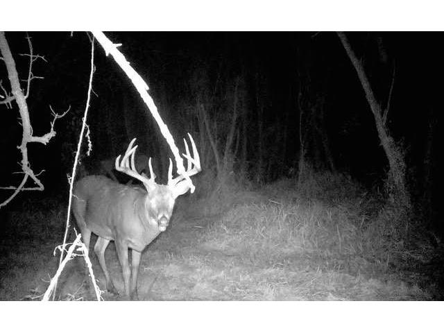 S2986 Barth Cross WI 54629 1939308 image2