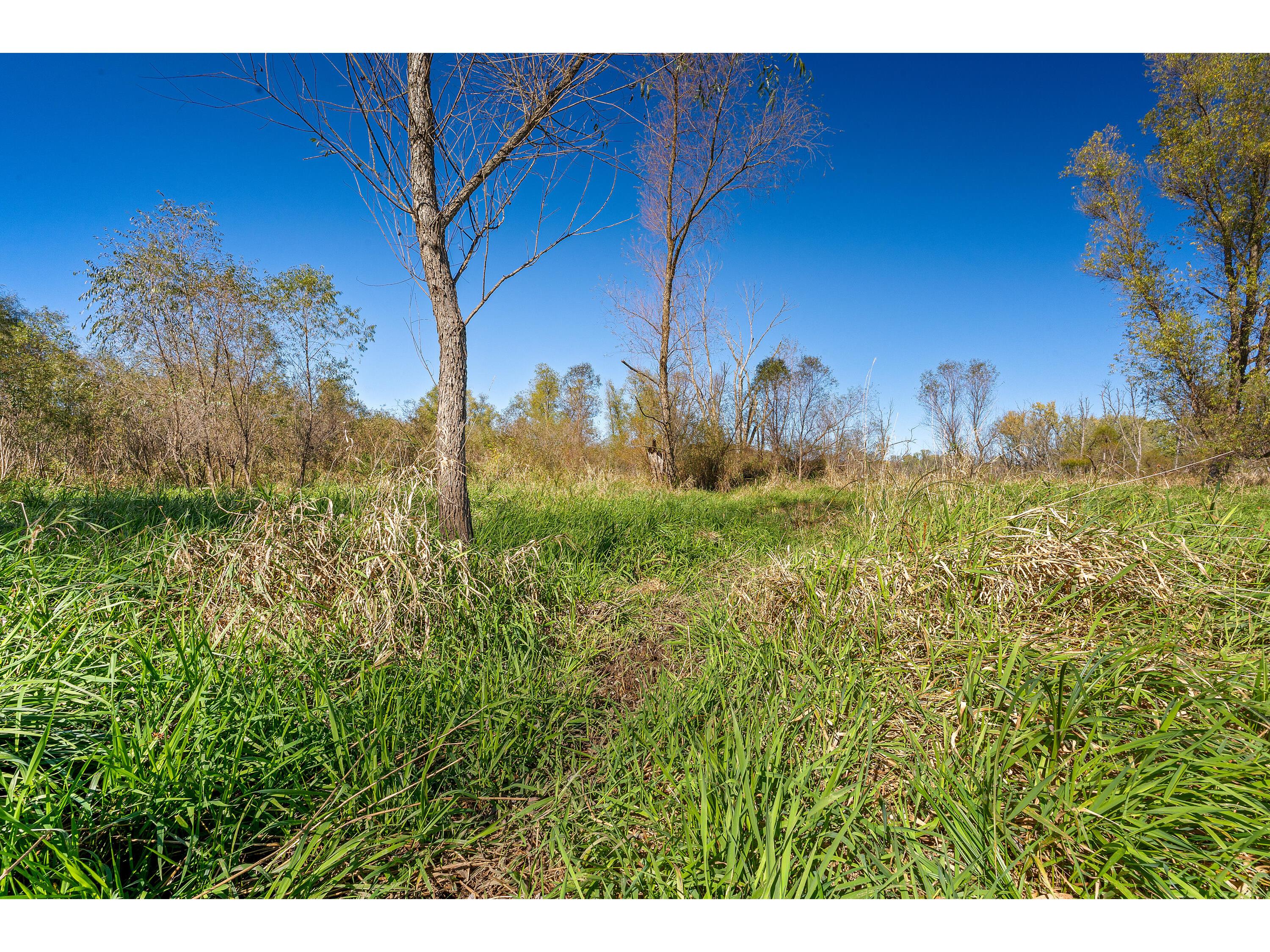 S2986 Barth Cross WI 54629 1939308 image3