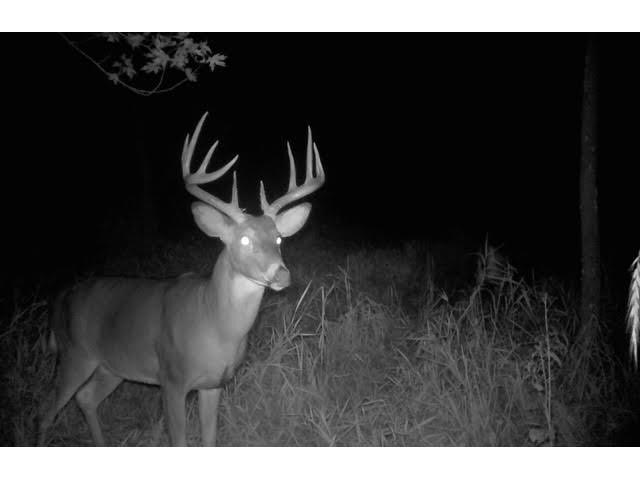 S2986 Barth Cross WI 54629 1939308 image5