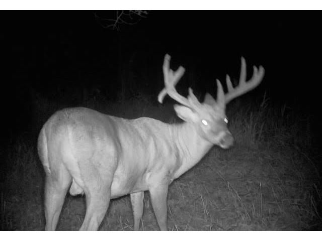 S2986 Barth Cross WI 54629 1939308 image9