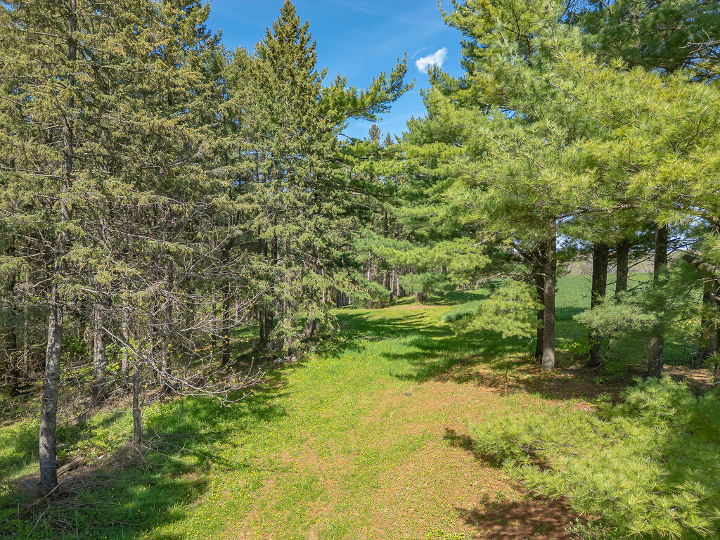 S3565 Rooster Ridge Buffalo WI 54629 1961184 image69