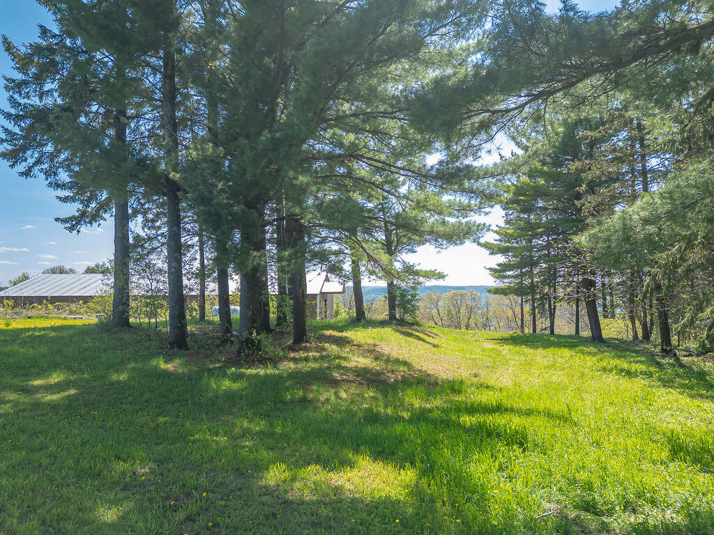 S3565 Rooster Ridge Buffalo WI 54629 1961184 image70