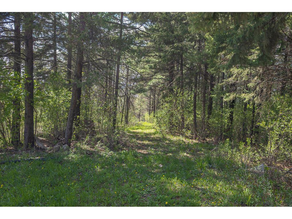 S3565 Rooster Ridge Buffalo WI 54629 1961184 image71