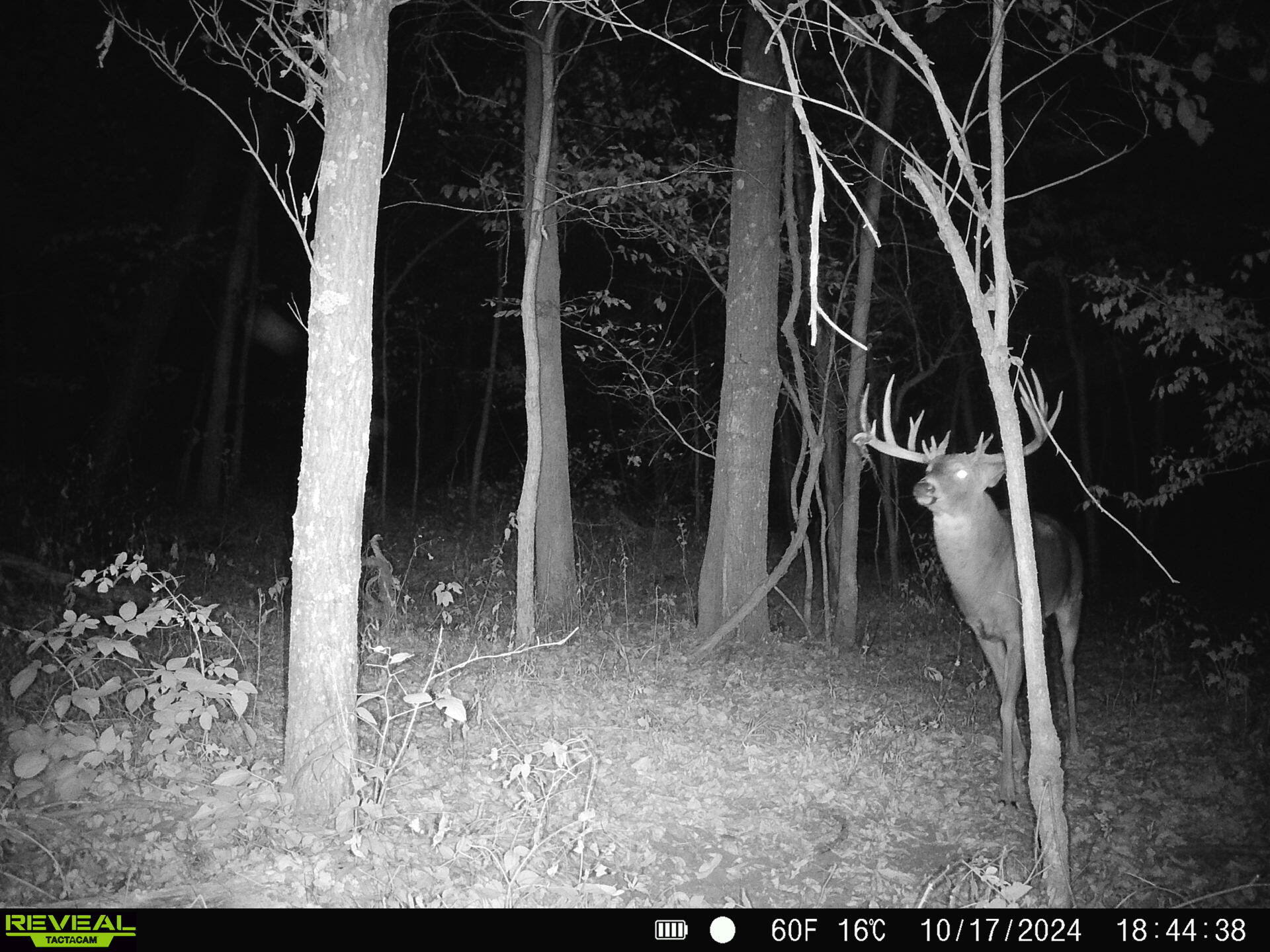 S3611 Sorrenson Harmony WI 54665 1967197 image10