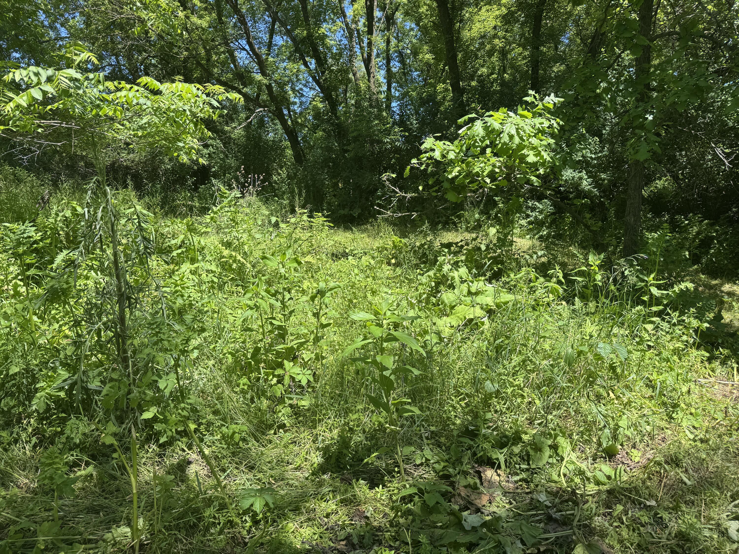 S3986 Randle Jefferson WI 54665 1966294 image6