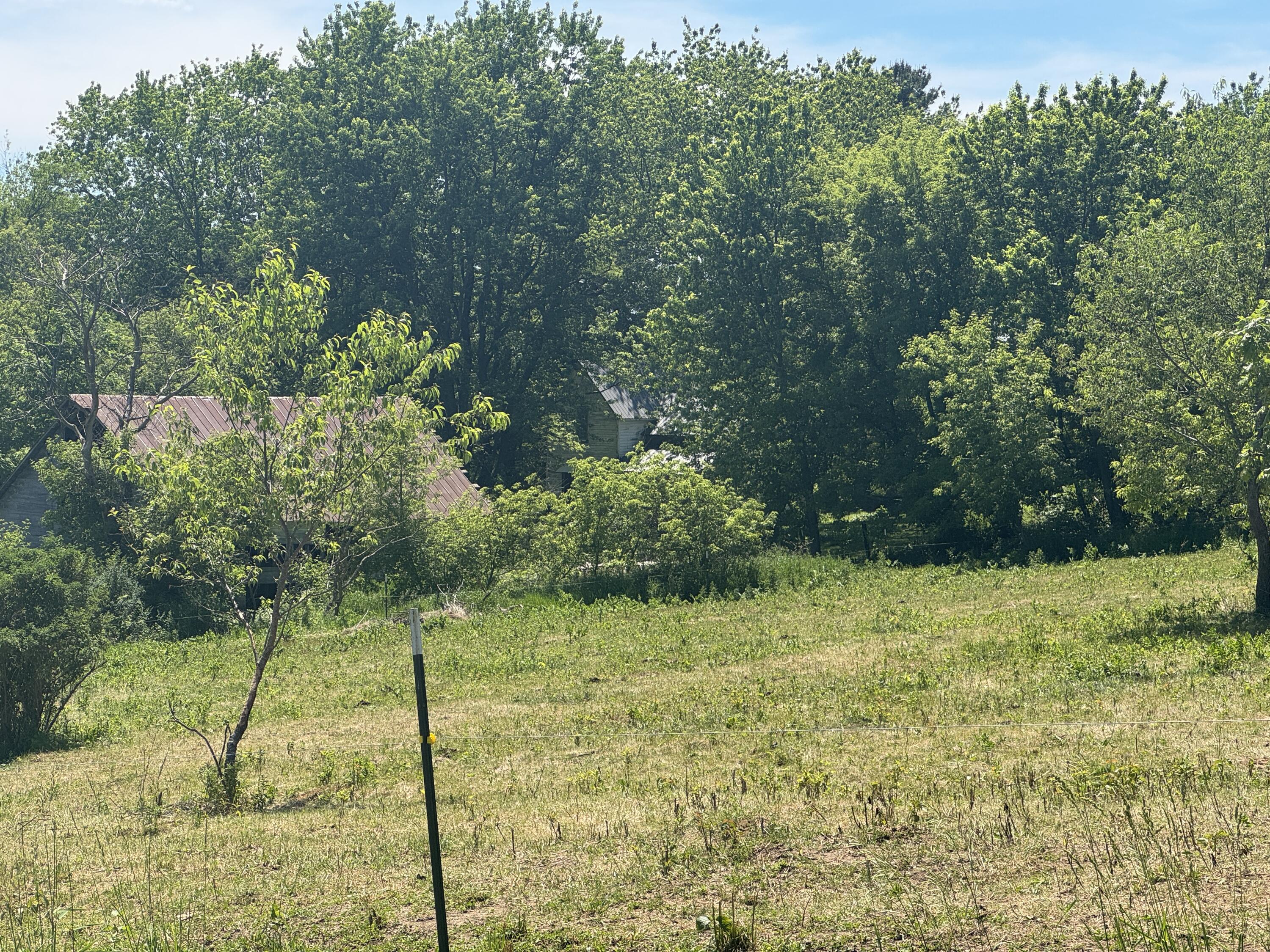 S3986 Randle Jefferson WI 54665 1966294 image8