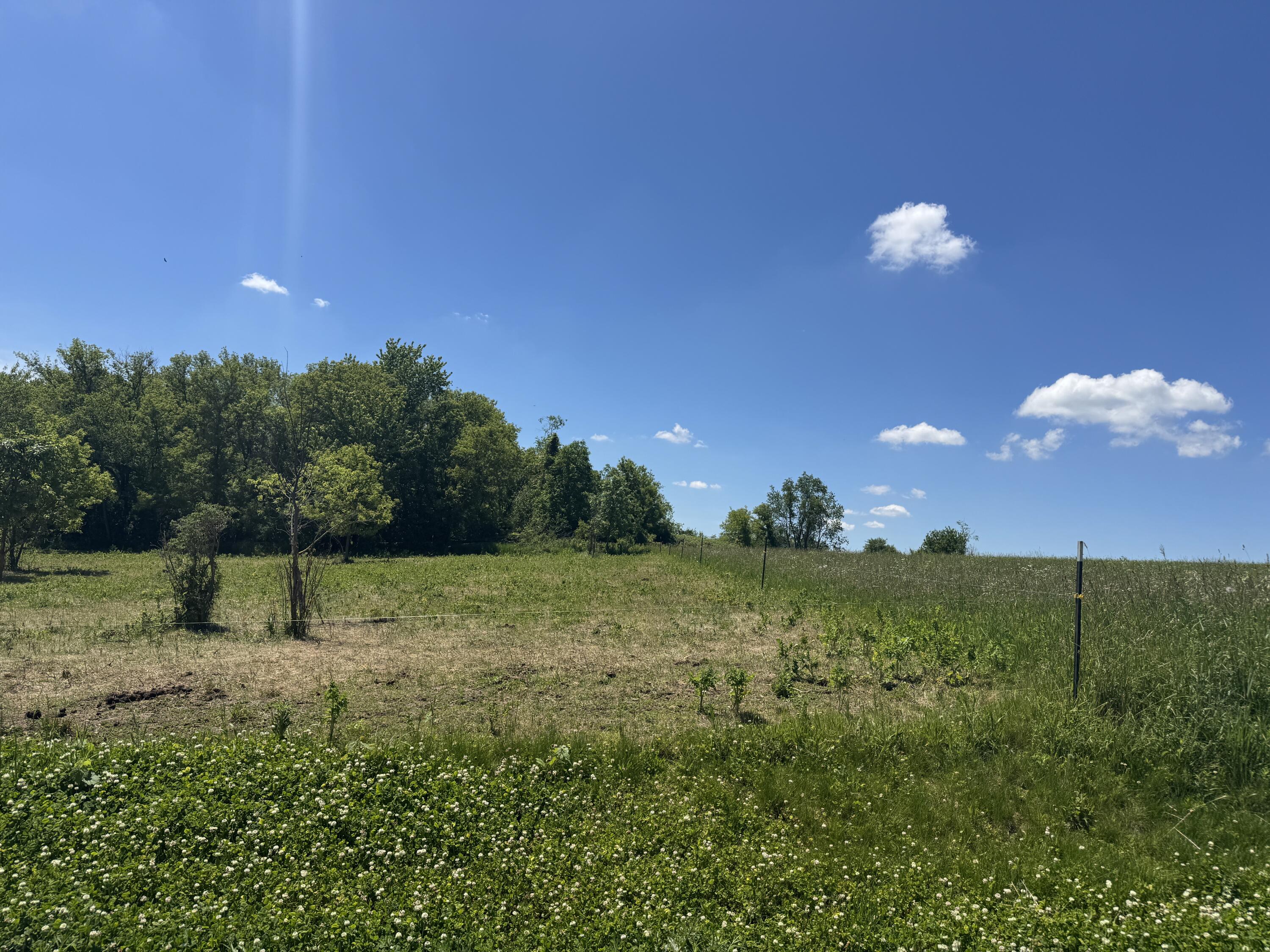 S3986 Randle Jefferson WI 54665 1966294 image9