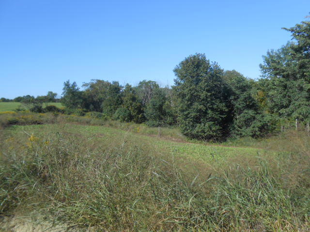 S4102 N ELK RUN Webster WI 54639 1940986 image5