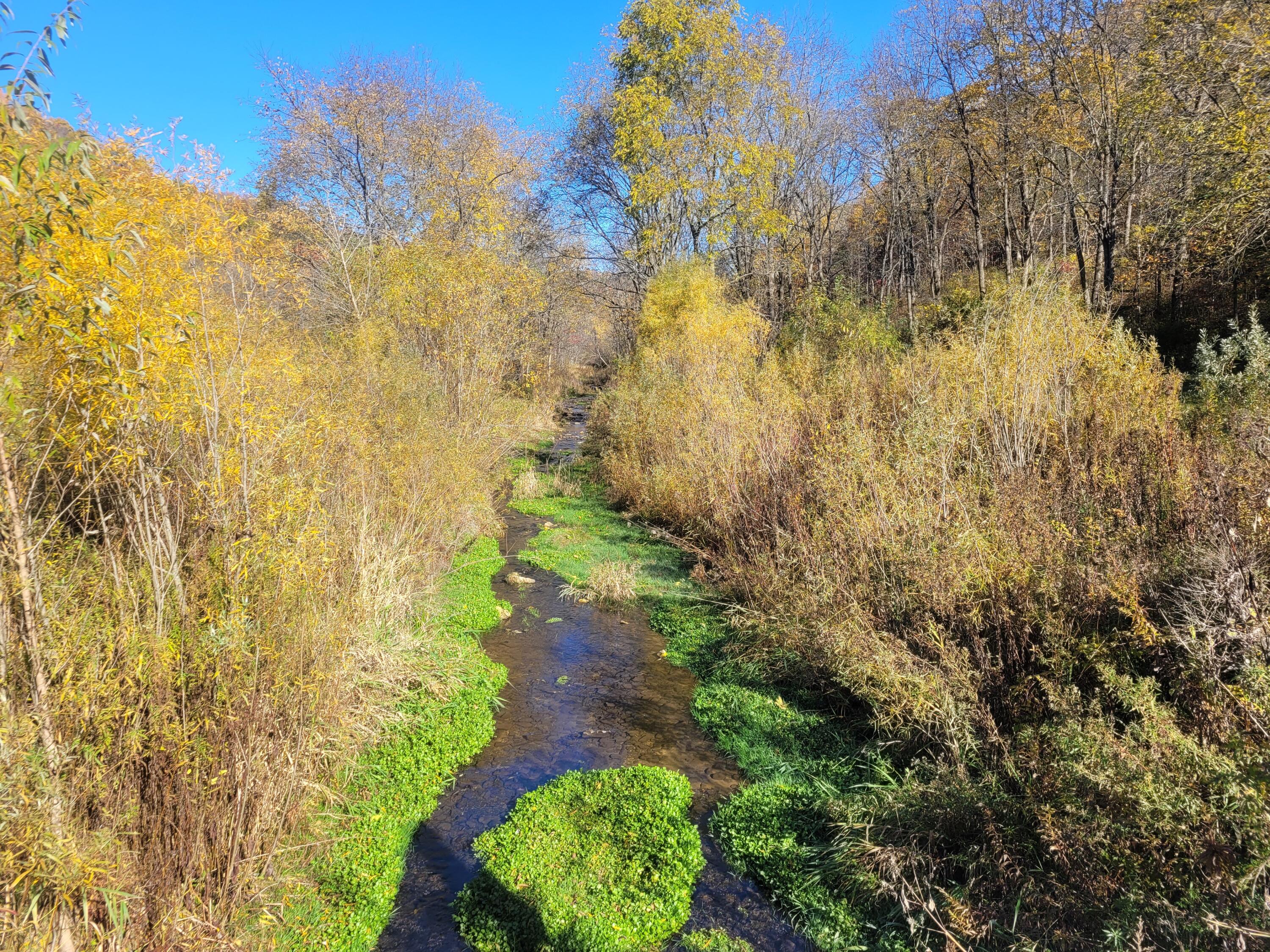 S4108 Haugrud Hollow Webster WI 54639 1953048 image30