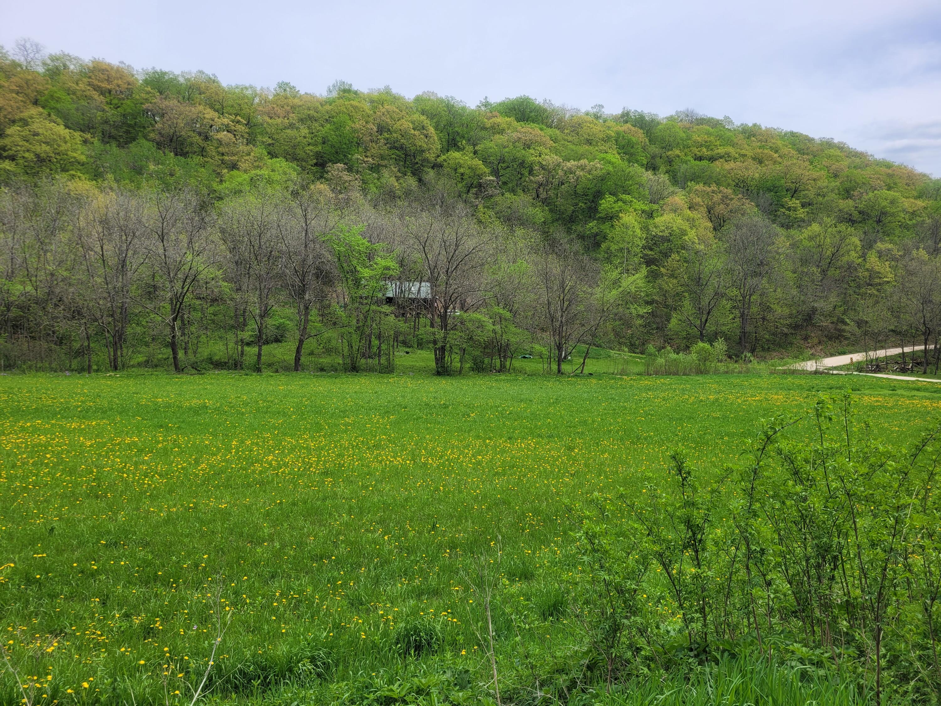 S4108 Haugrud Hollow Webster WI 54639 1953048 image35
