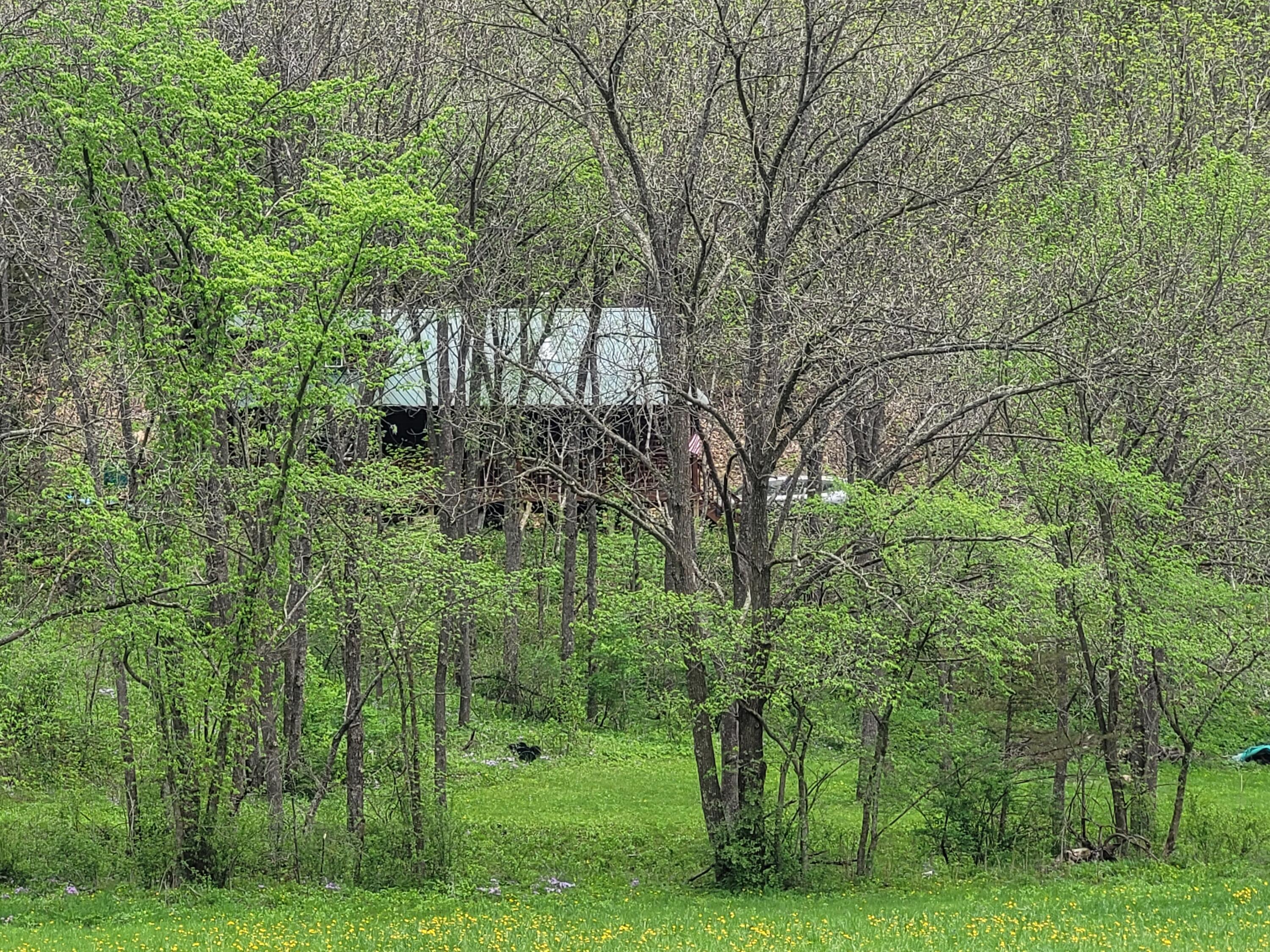 S4108 Haugrud Hollow Webster WI 54639 1953048 image36