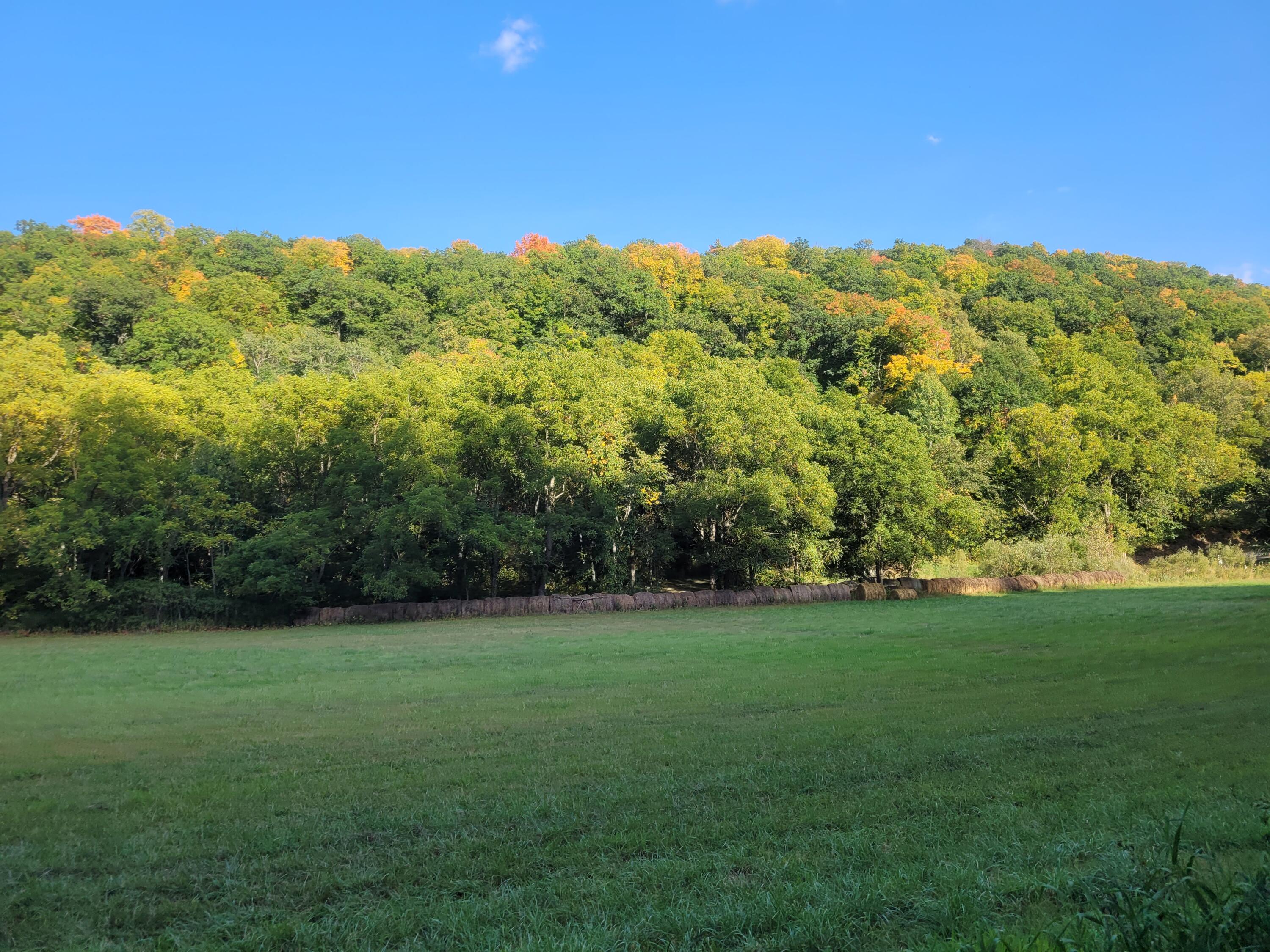 S4108 Haugrud Hollow Webster WI 54639 1953048 image40