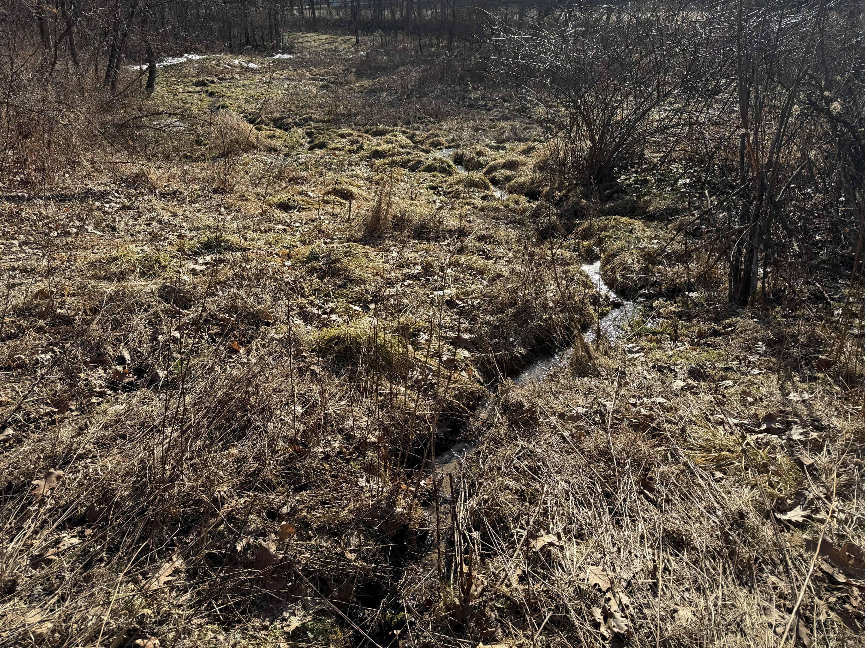 S4108 Haugrud Hollow Webster WI 54639 1953048 image45