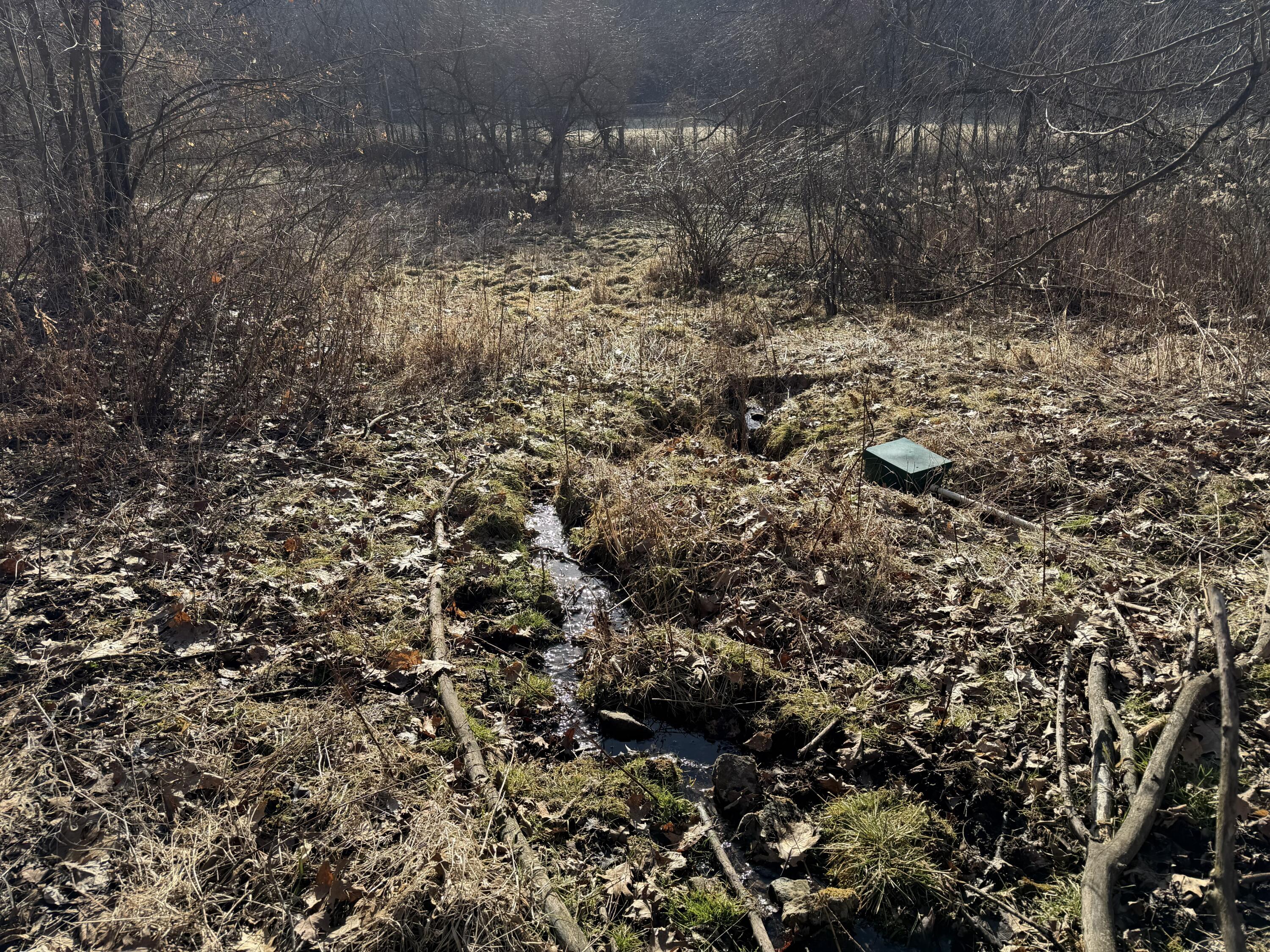 S4108 Haugrud Hollow Webster WI 54639 1953048 image46
