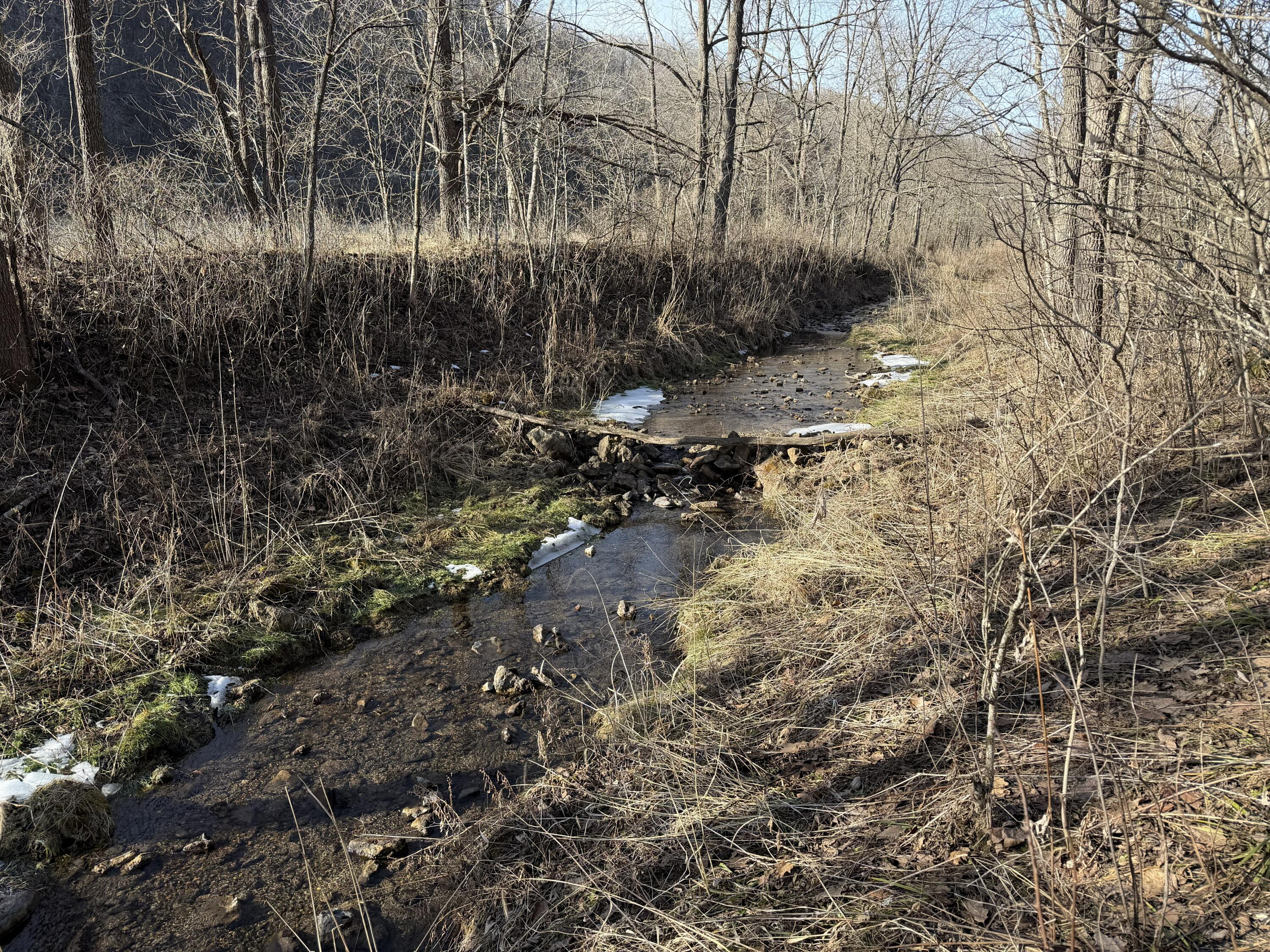 S4108 Haugrud Hollow Webster WI 54639 1953048 image48