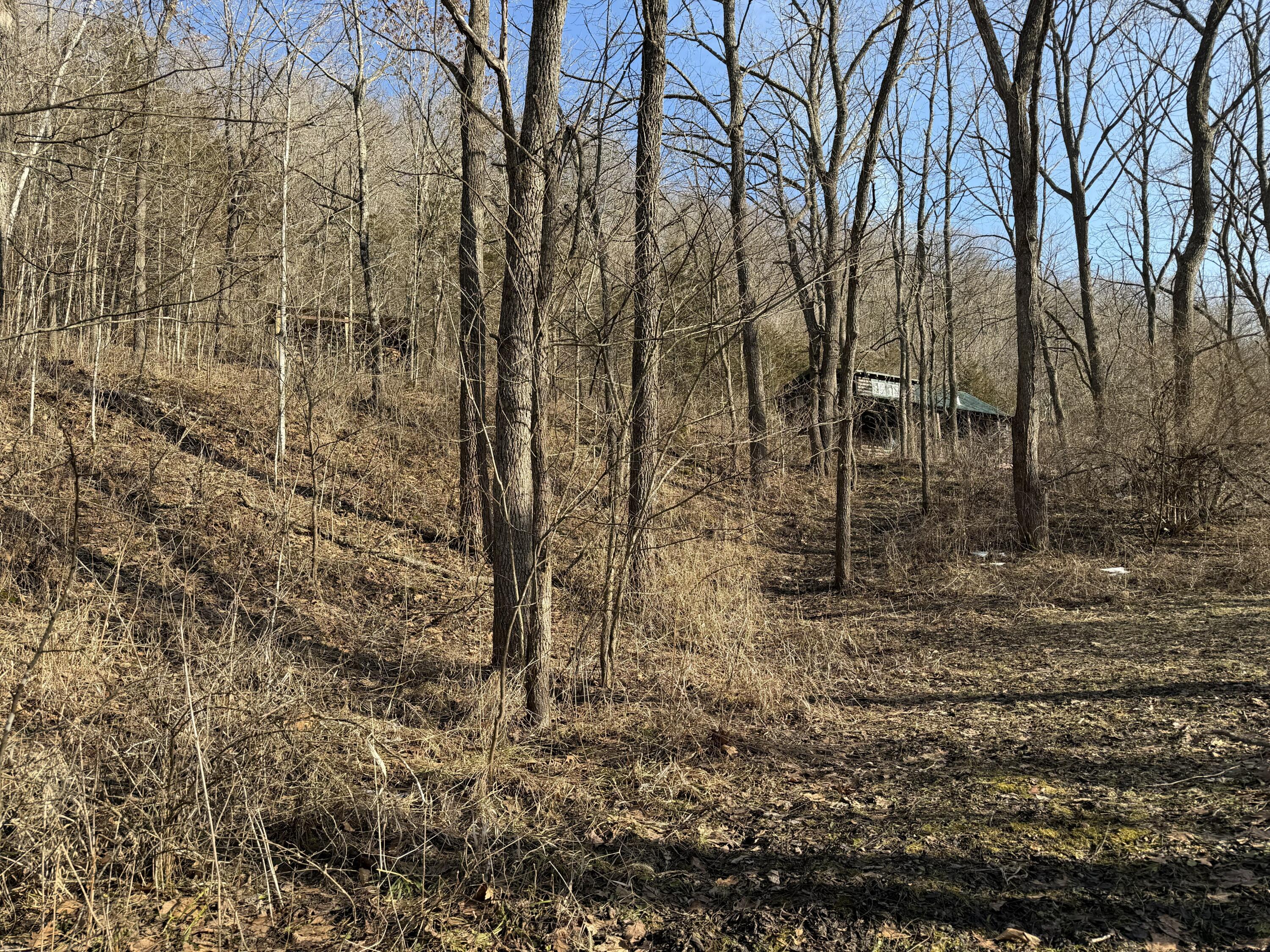 S4108 Haugrud Hollow Webster WI 54639 1953048 image49