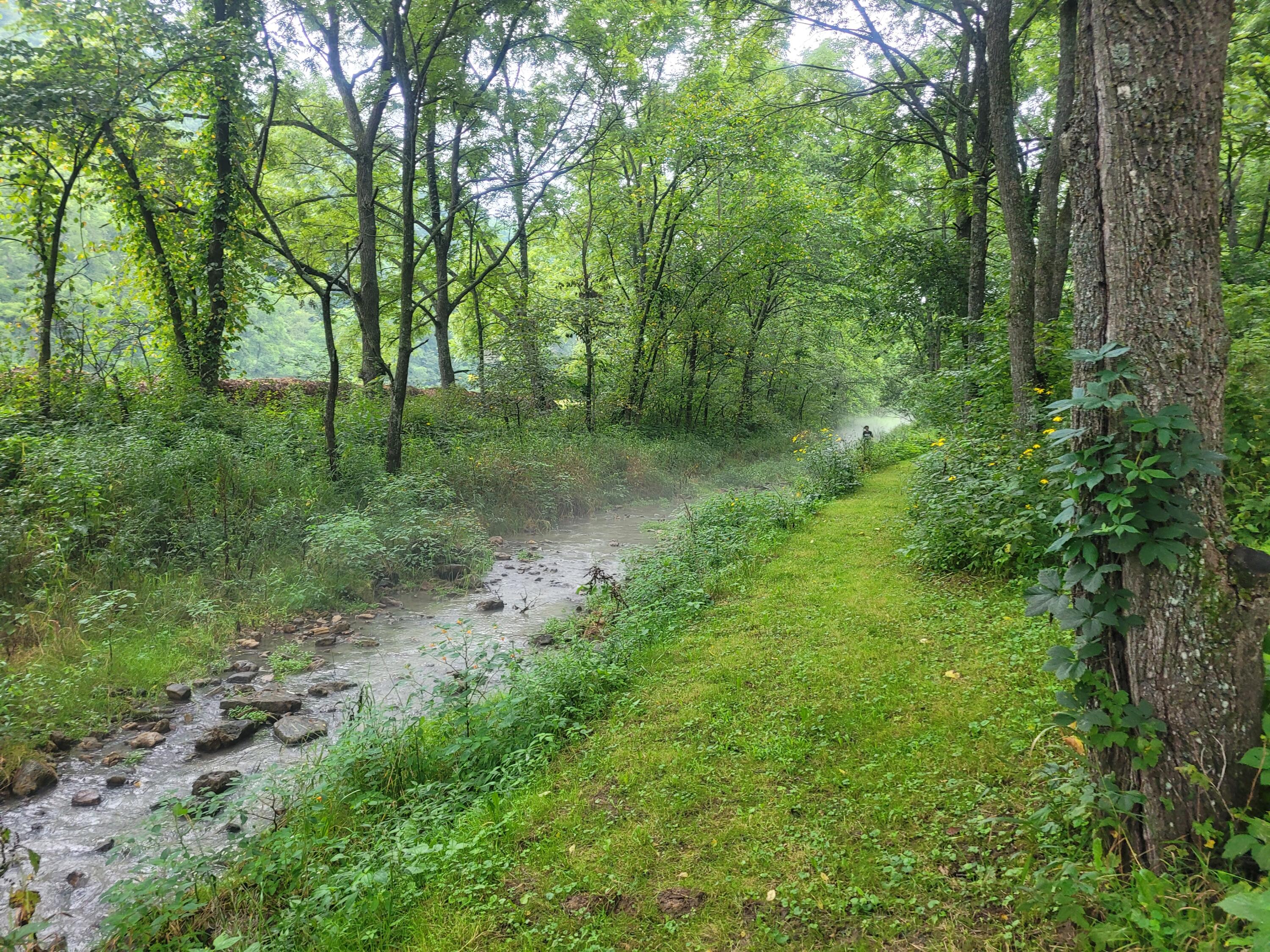 S4108 Haugrud Hollow Webster WI 54639 1953048 image5
