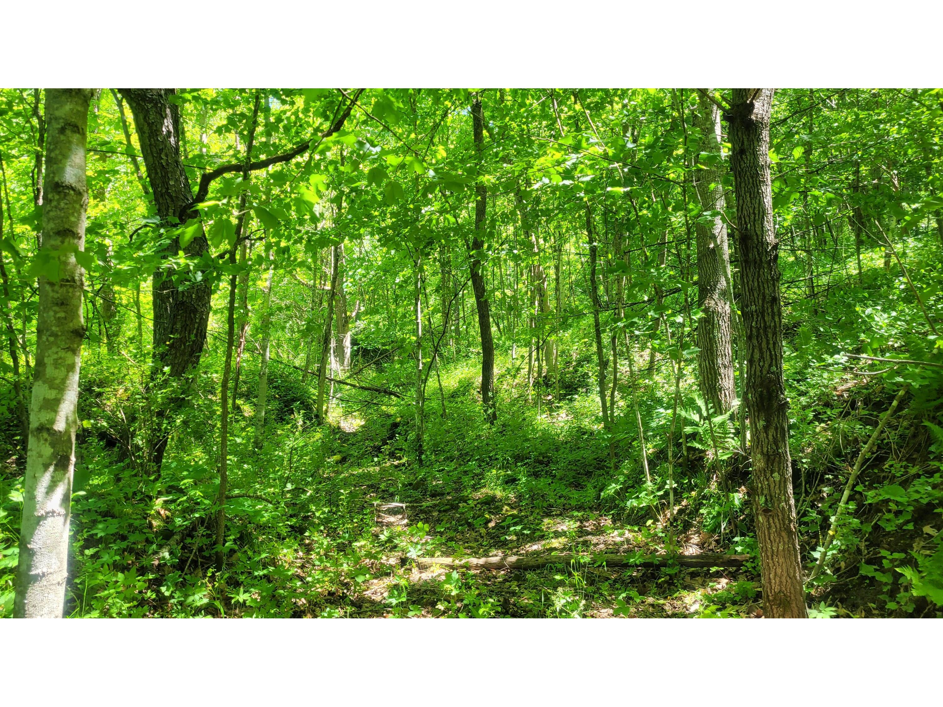 S4108 Haugrud Hollow Webster WI 54639 1953048 image56