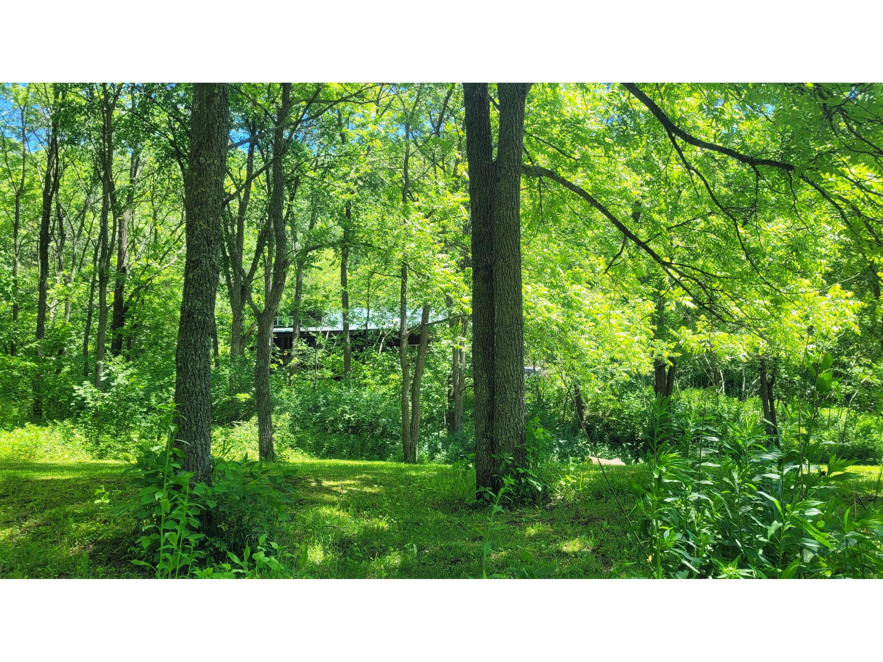 S4108 Haugrud Hollow Webster WI 54639 1953048 image58