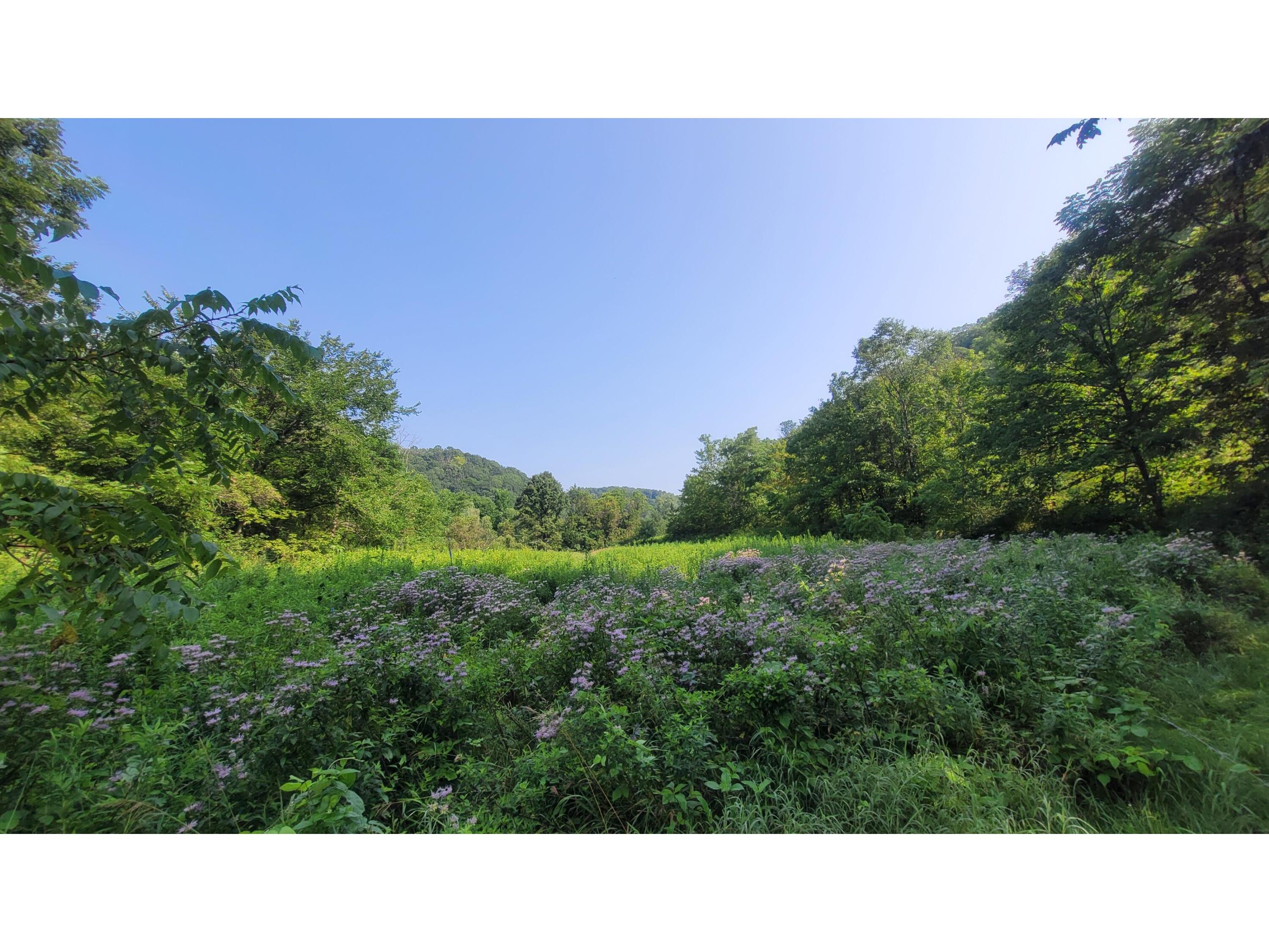 S4108 Haugrud Hollow Webster WI 54639 1953048 image61