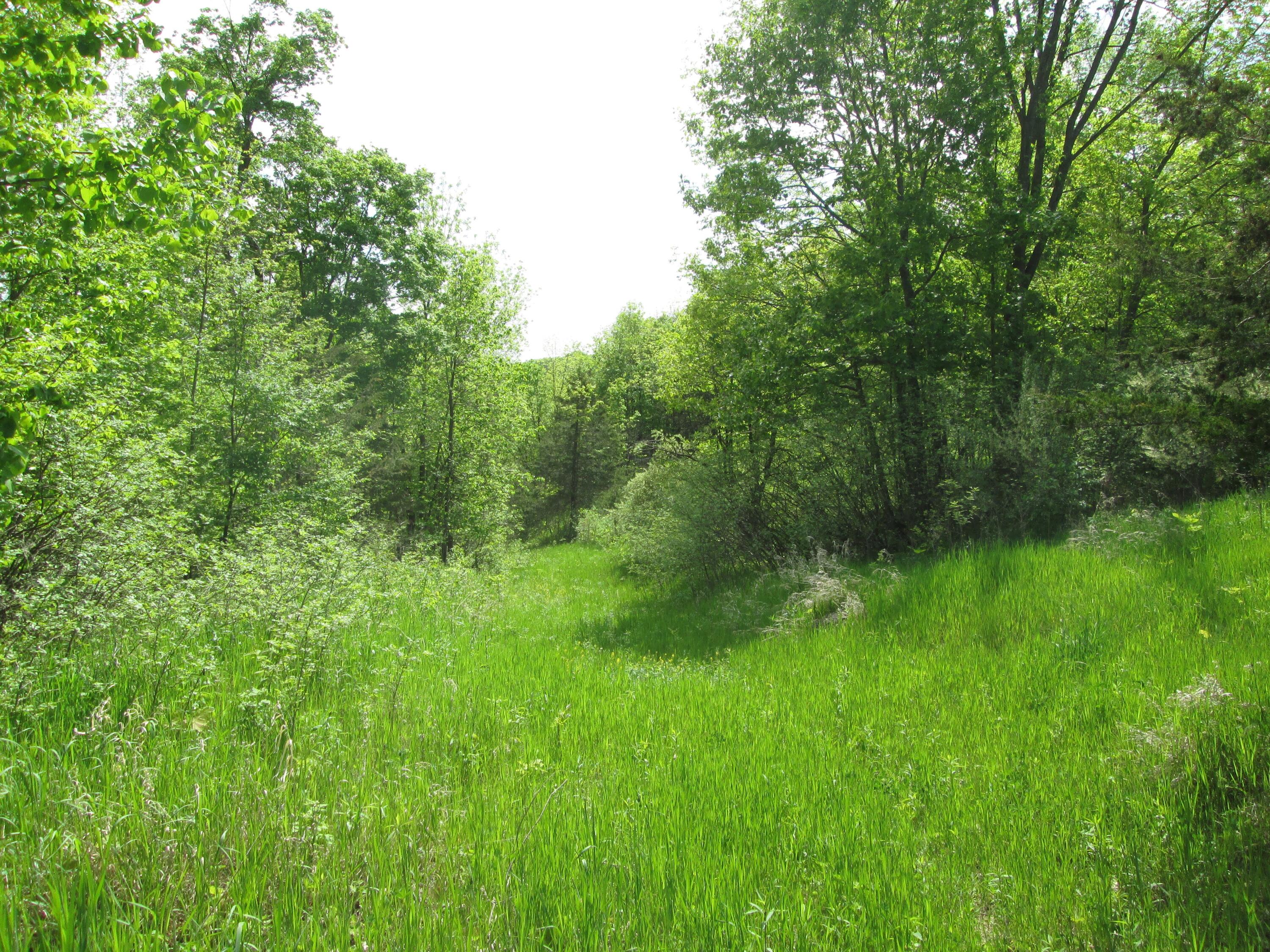 S4108 Haugrud Hollow Webster WI 54639 1953048 image63