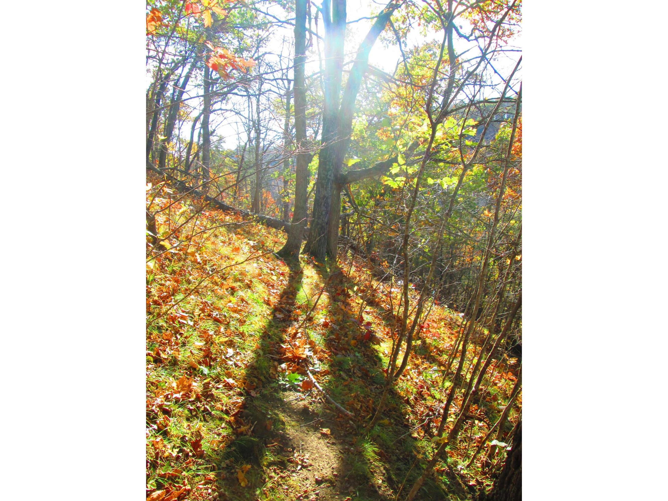 S4108 Haugrud Hollow Webster WI 54639 1953048 image64