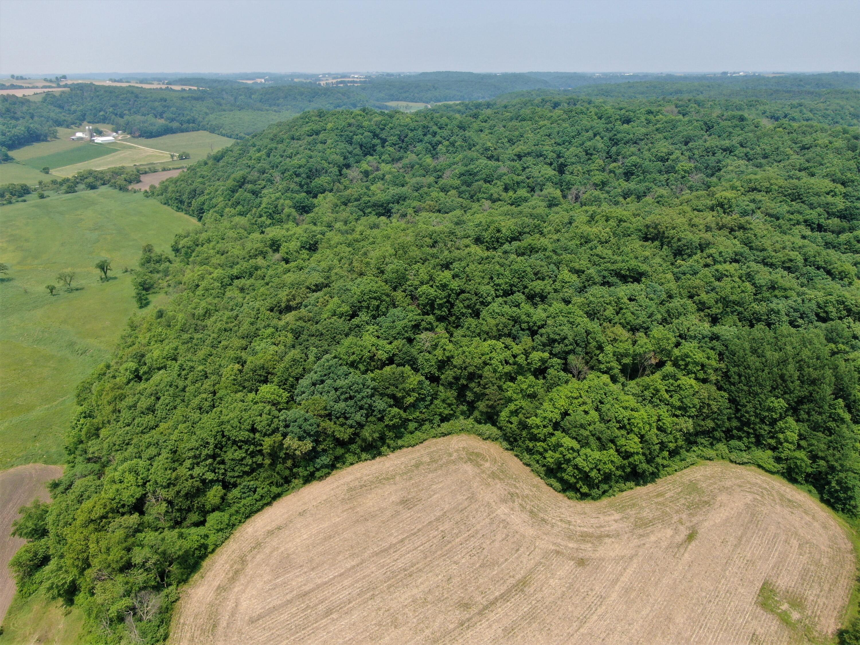 S4890 Pine Union WI 54634 1860728 image7