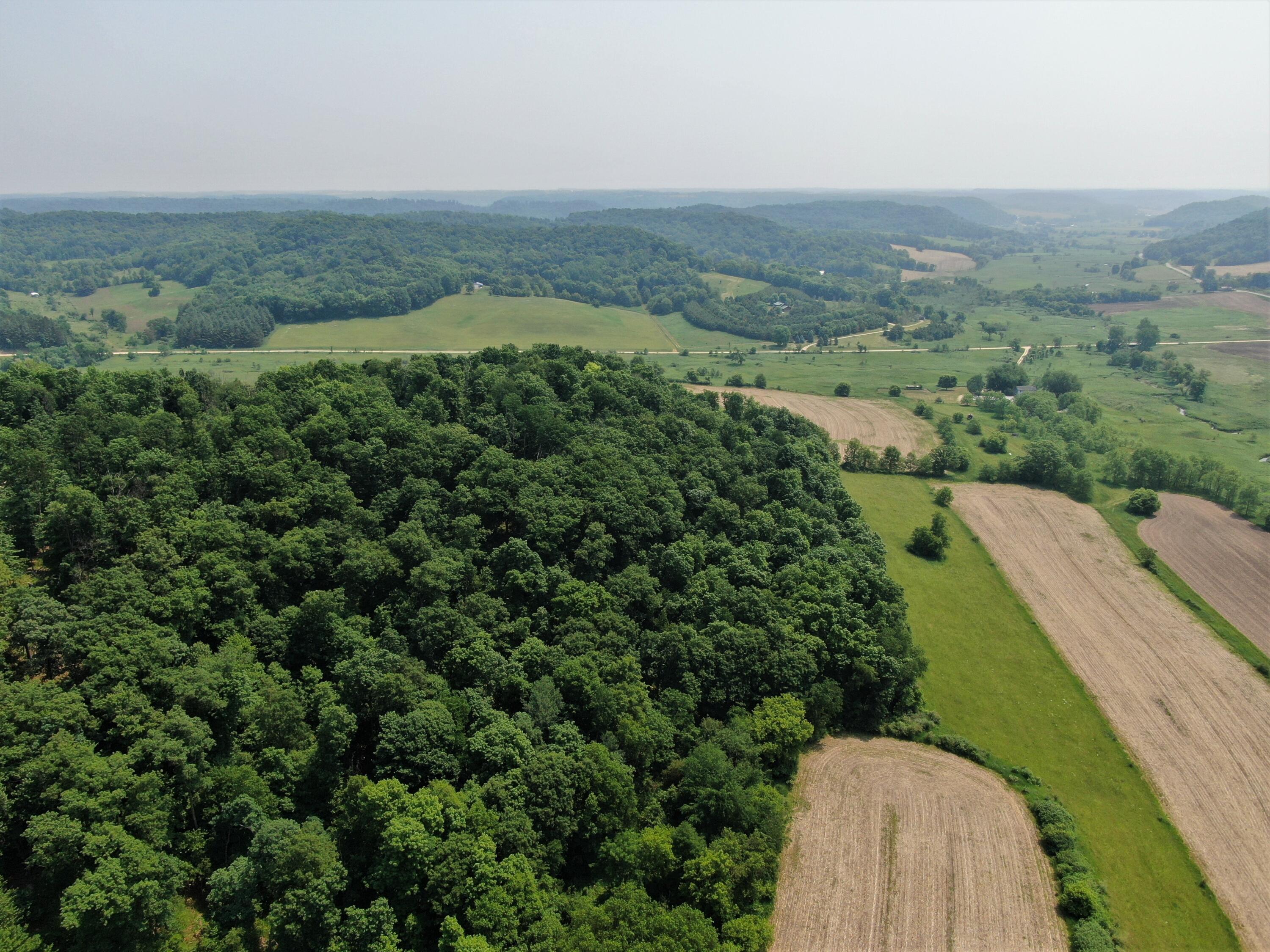 S4890 Pine Union WI 54634 1860728 image8