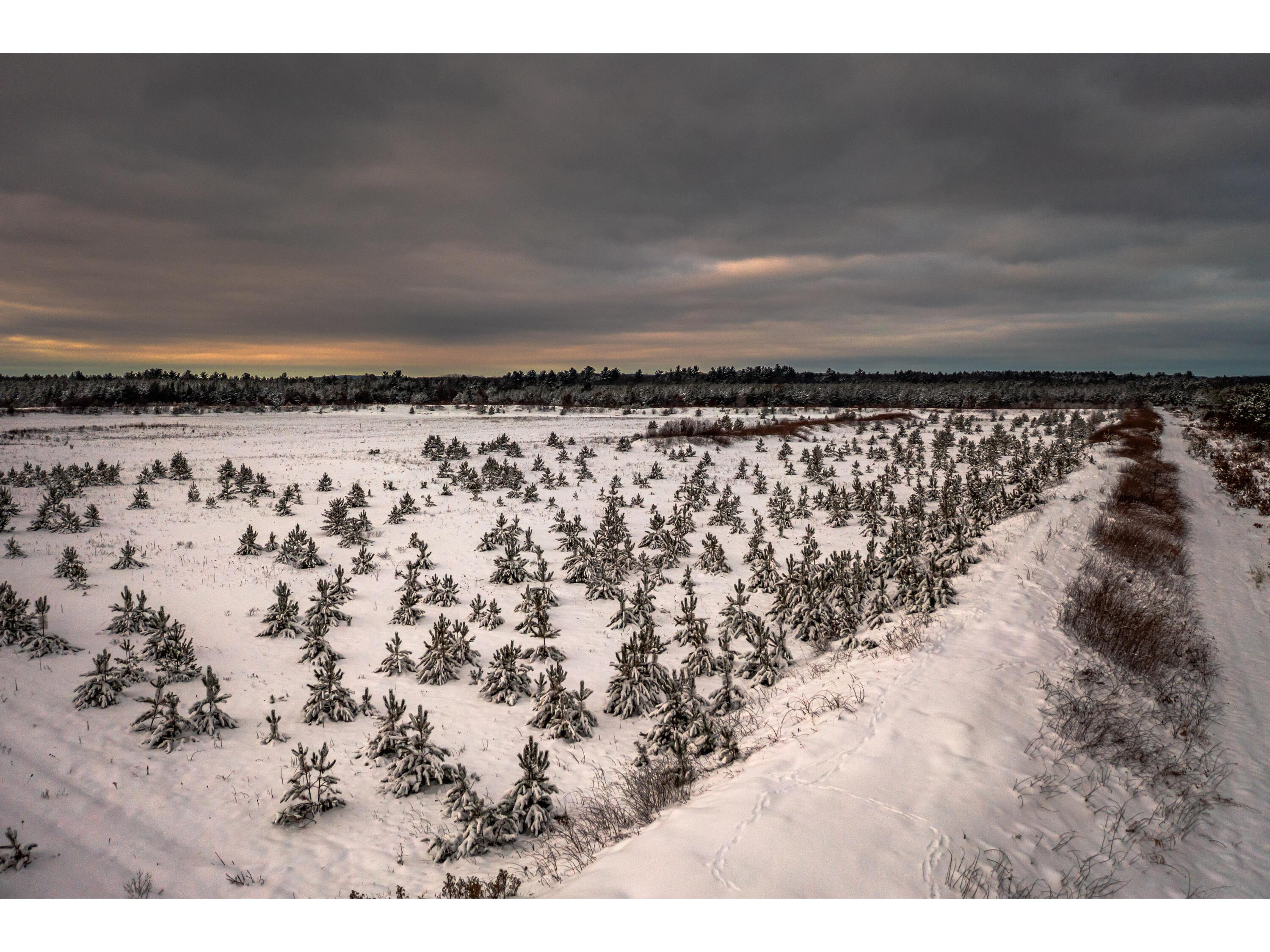 S6298 State Road 27 Bridge Creek WI 54722 1945079 image26