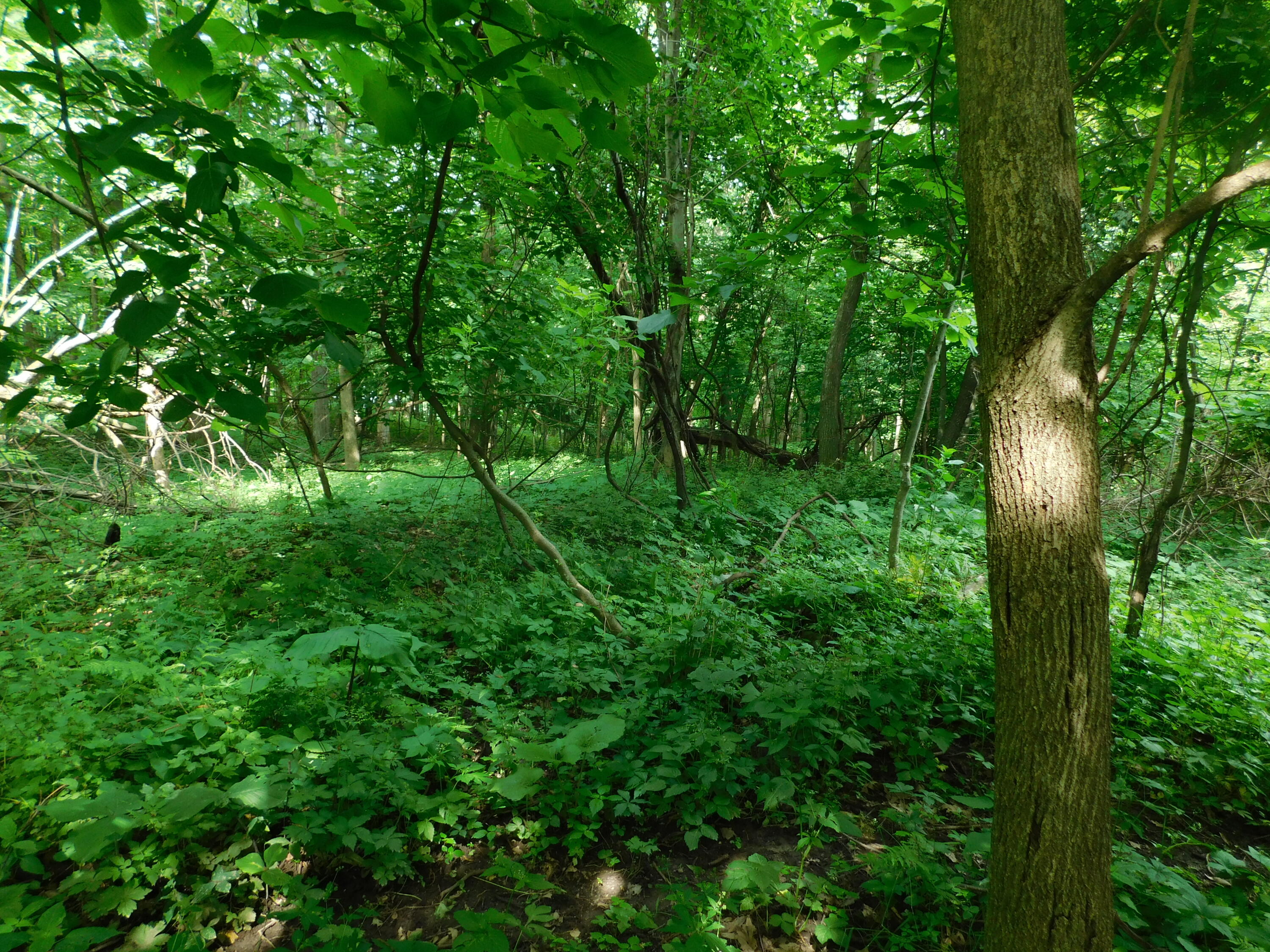 S656 Redemption, Christiana, WI, 54667 MLS 1879920 Edina Realty