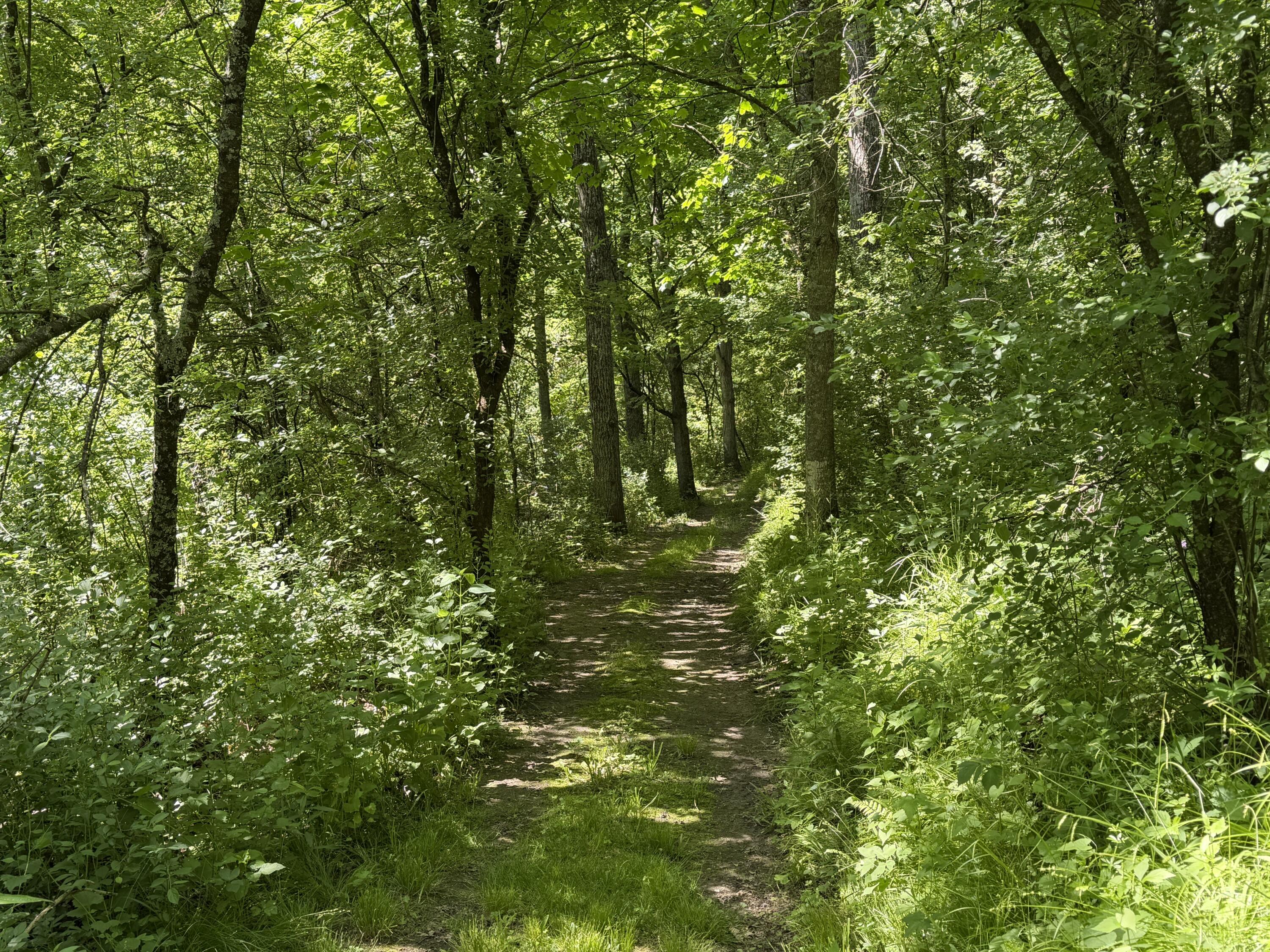 S7750 Carter Valley Kickapoo WI 54652 1970151 image26