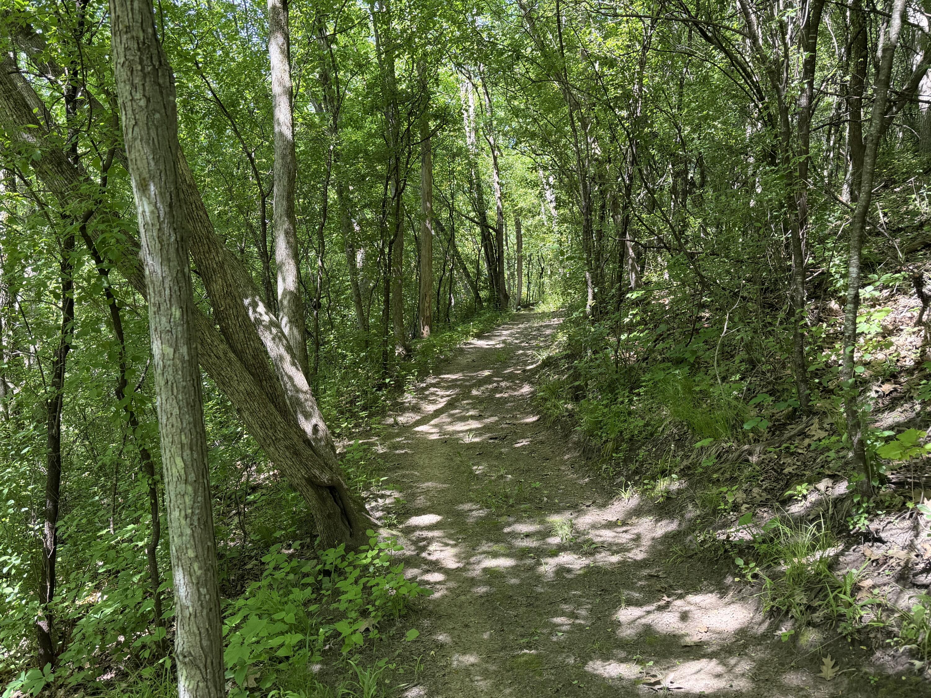 S7750 Carter Valley Kickapoo WI 54652 1970151 image28
