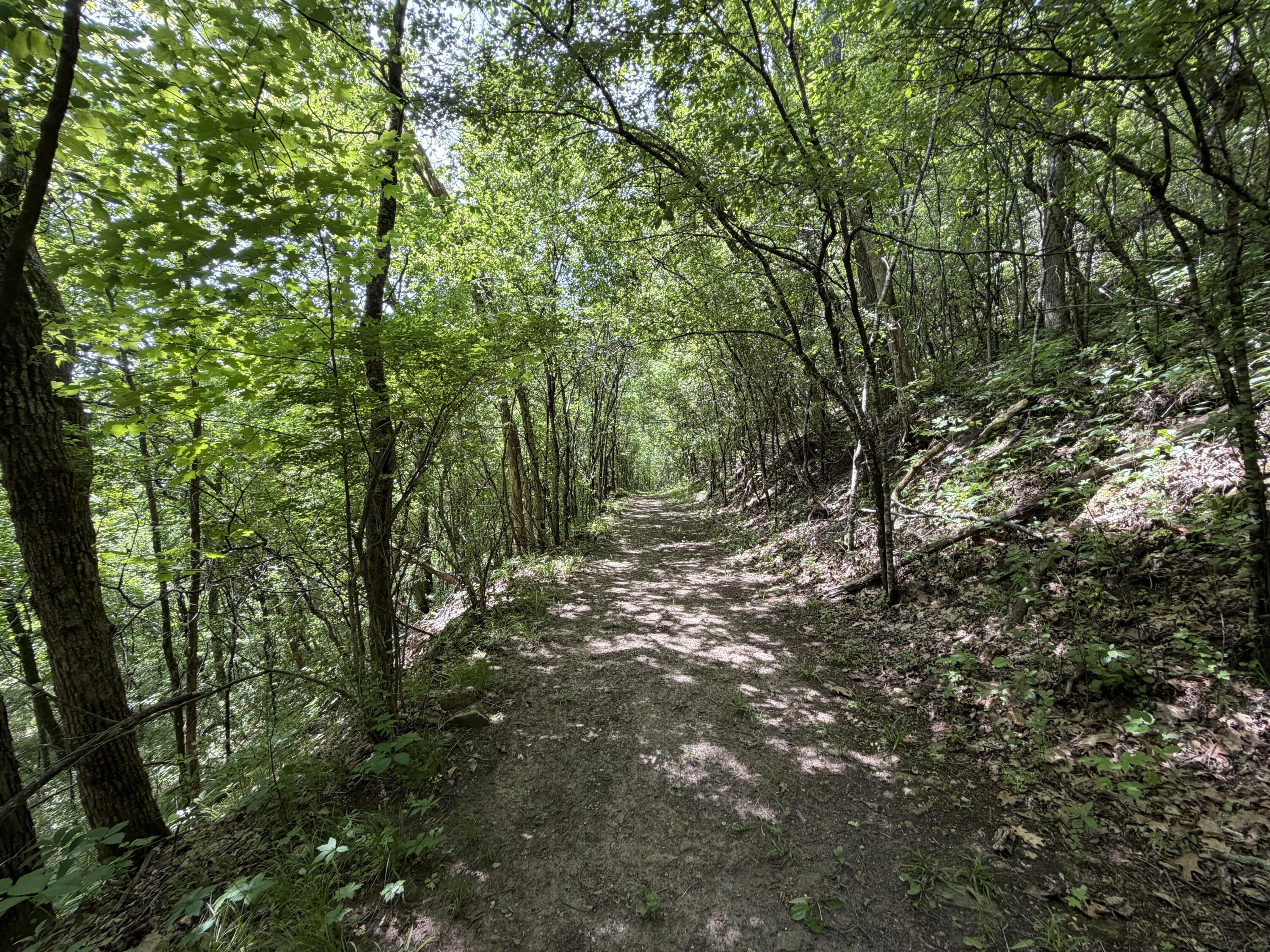 S7750 Carter Valley Kickapoo WI 54652 1970151 image33