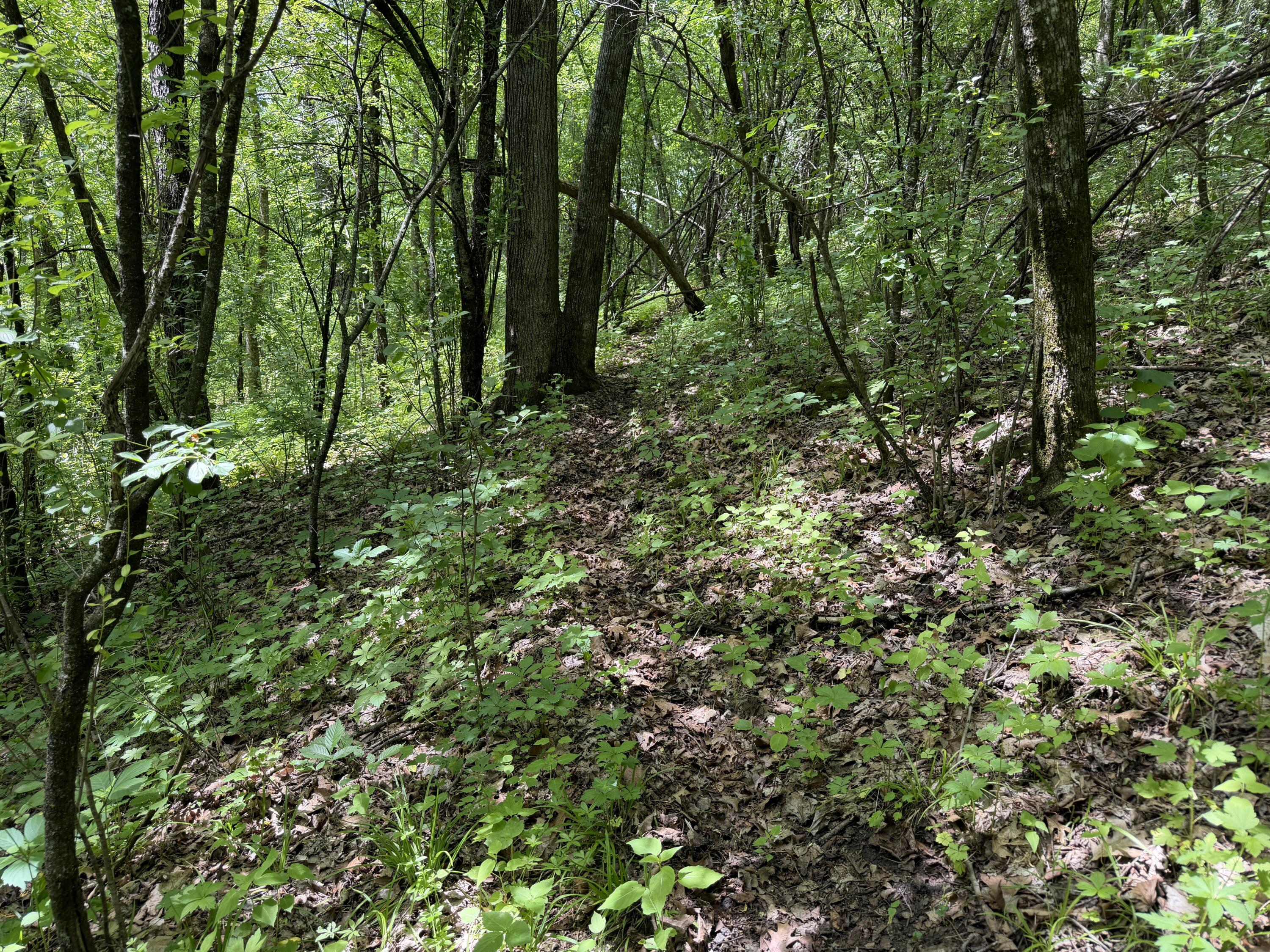 S7750 Carter Valley Kickapoo WI 54652 1970151 image35
