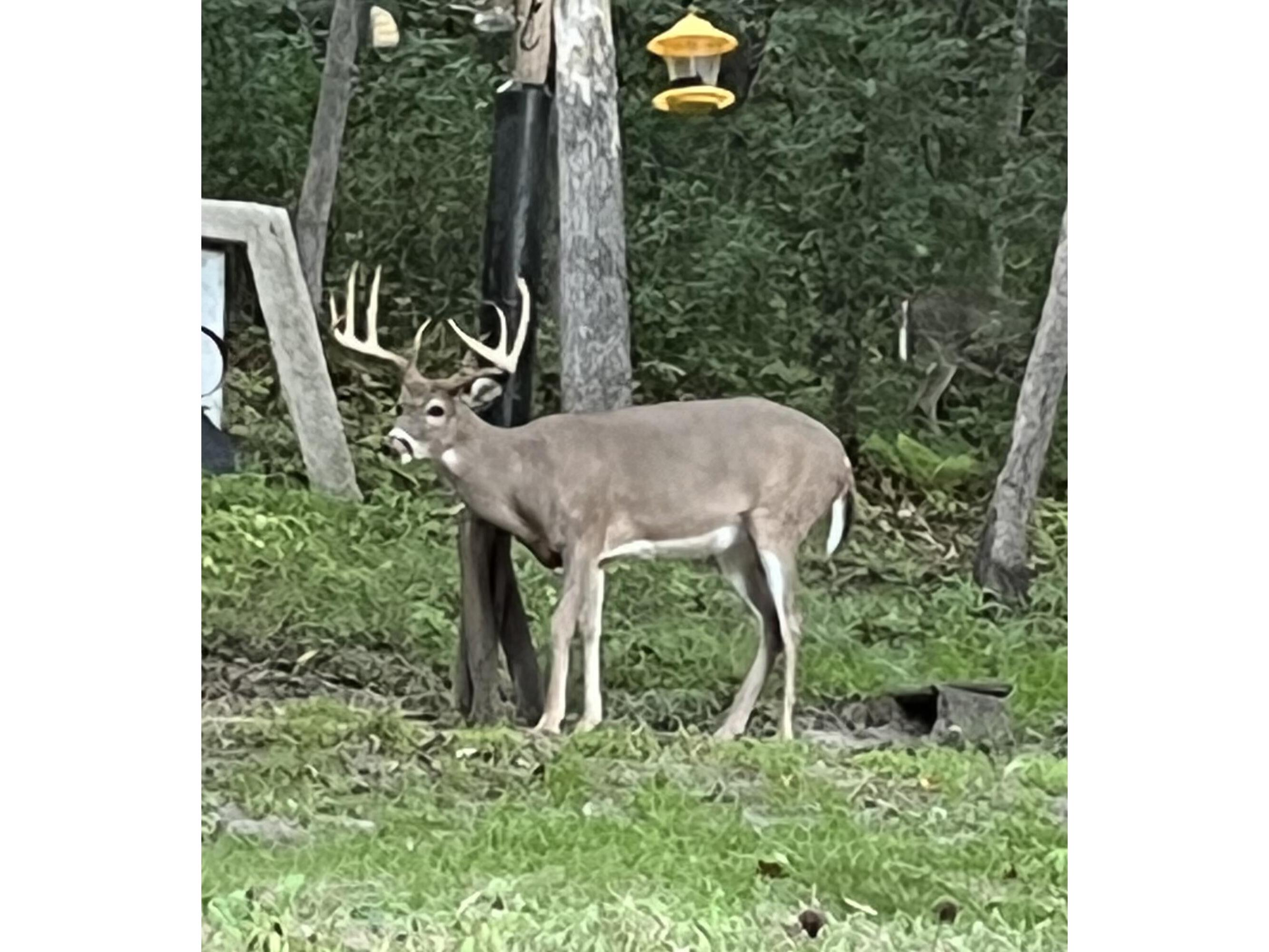 S7750 Carter Valley Kickapoo WI 54652 1970151 image37
