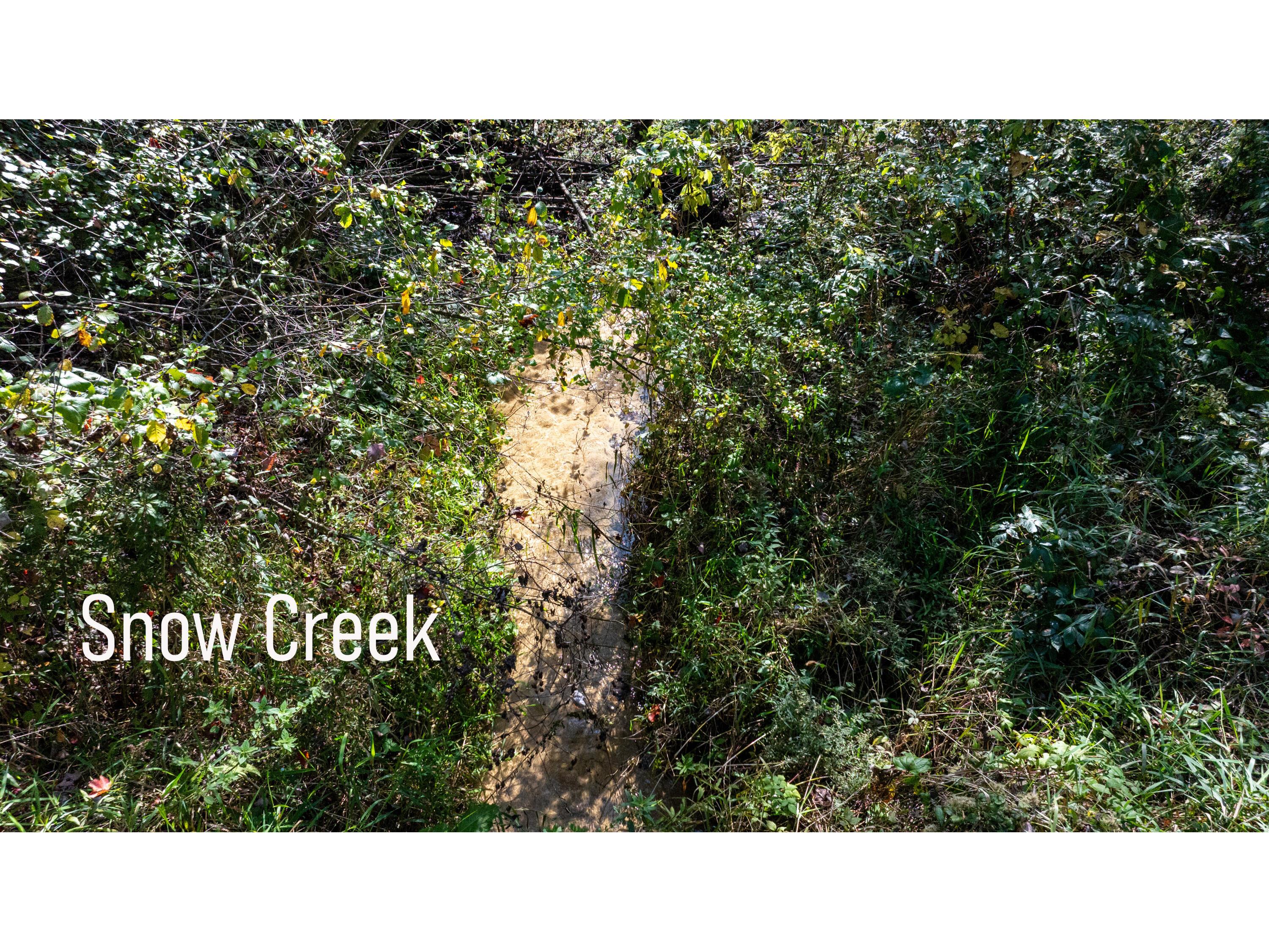 W10753 Hannon Adams WI 54615 1939244 image67