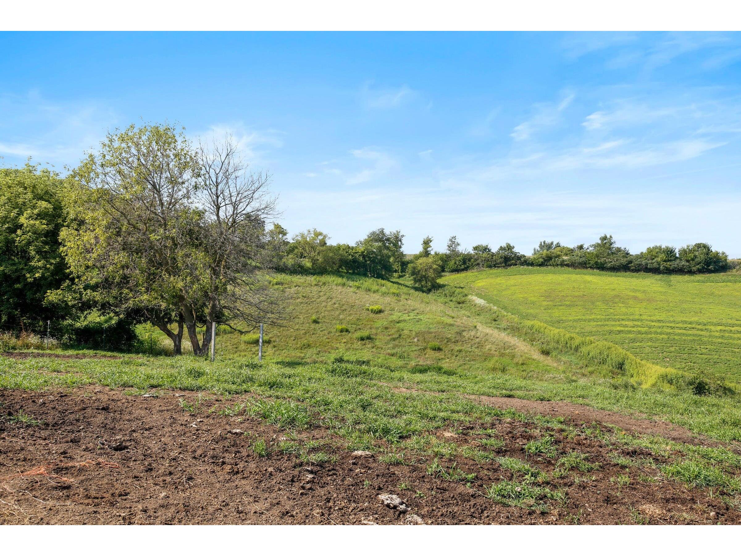 W10864 Santas Loop Wonewoc WI 53968 1942131 image23