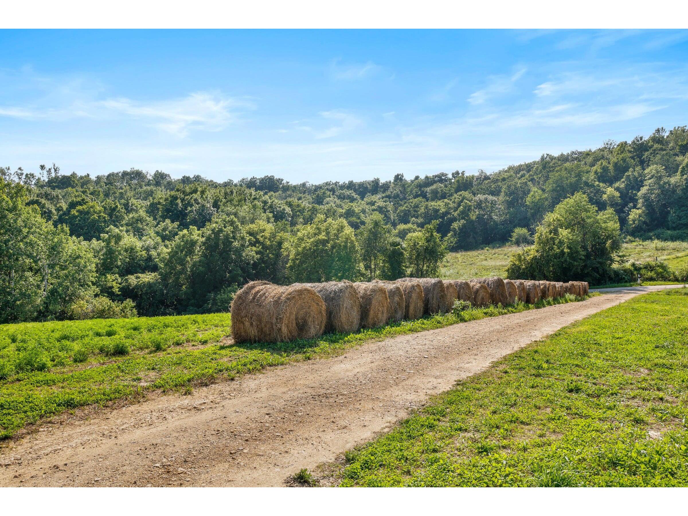 W10864 Santas Loop Wonewoc WI 53968 1942131 image28