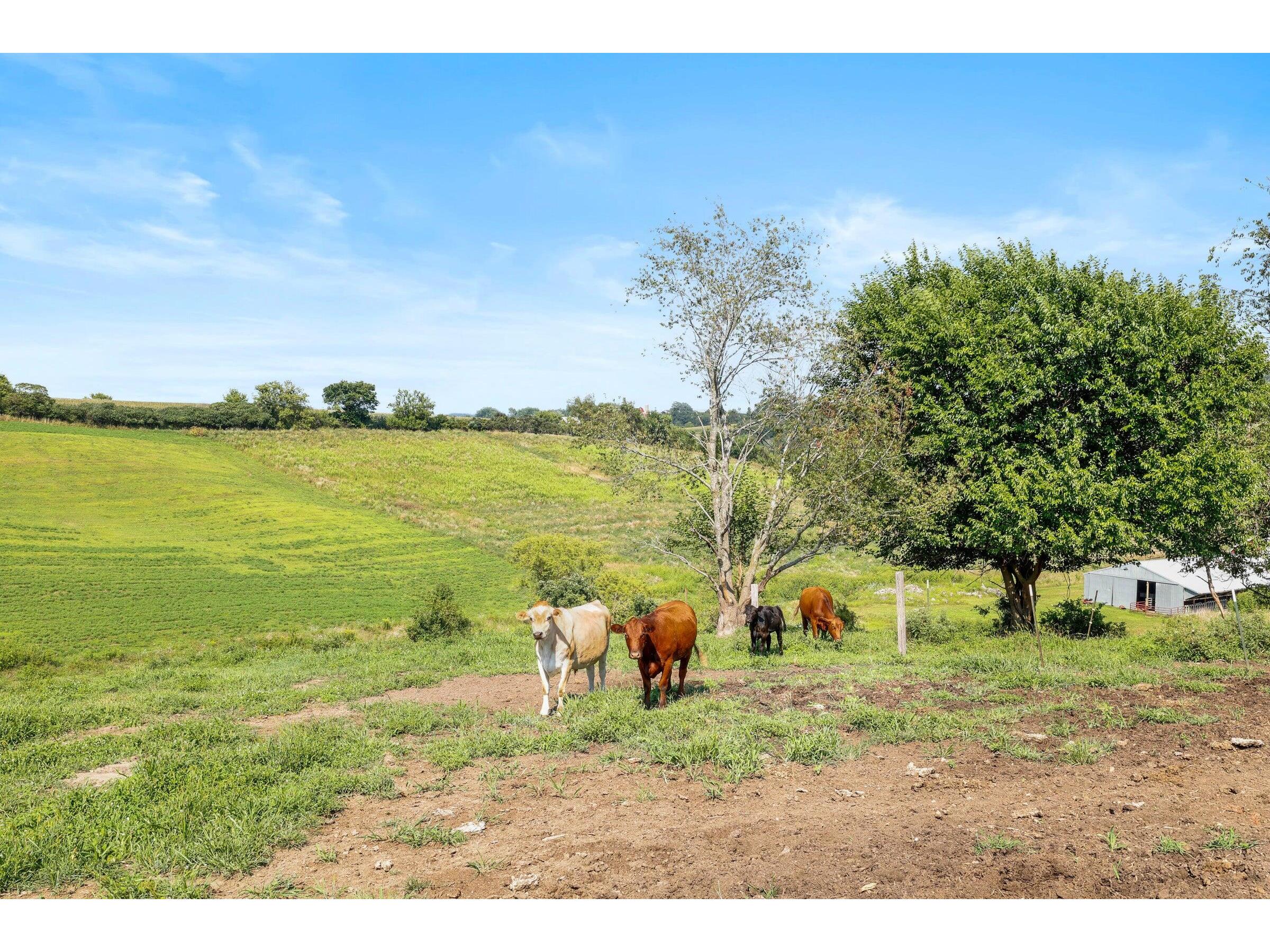 W10864 Santas Loop Wonewoc WI 53968 1942131 image5