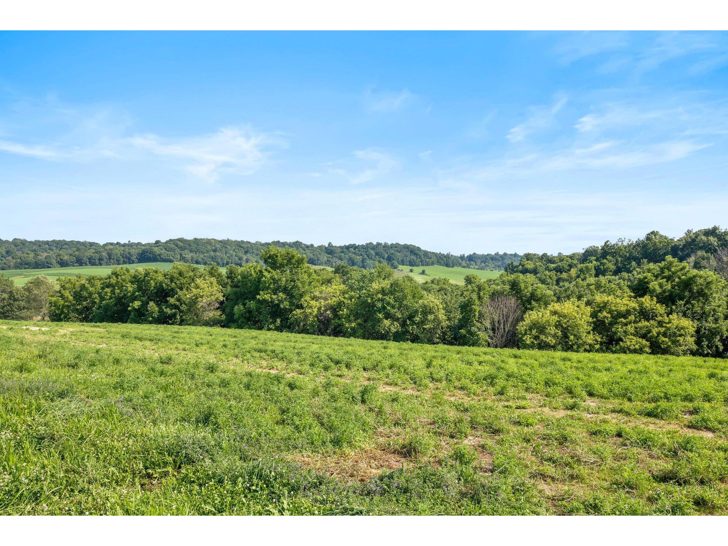 W10864 Santas Loop Wonewoc WI 53968 1942134 image27