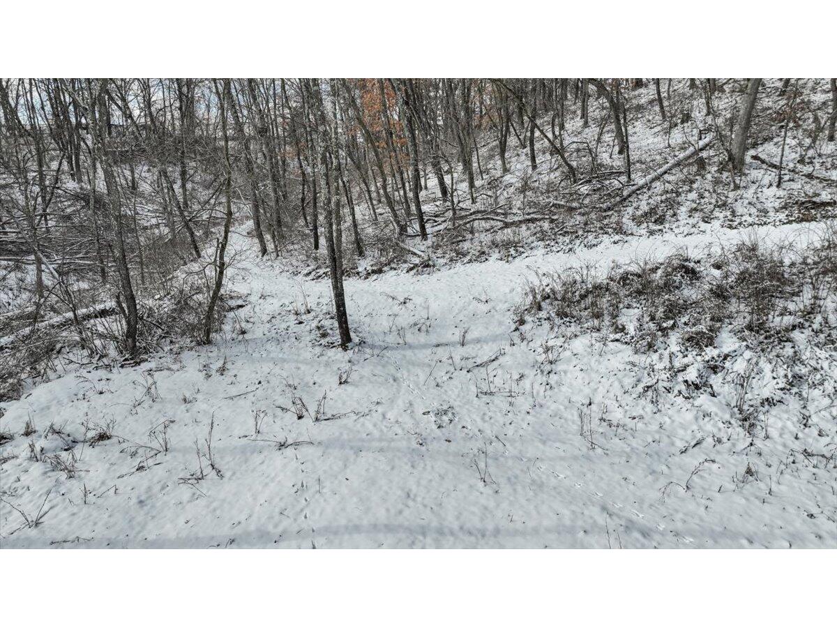 W16091 Dewey Northfield WI 54758 1952459 image39