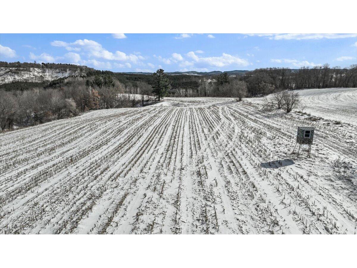 W16091 Dewey Northfield WI 54758 1952459 image40