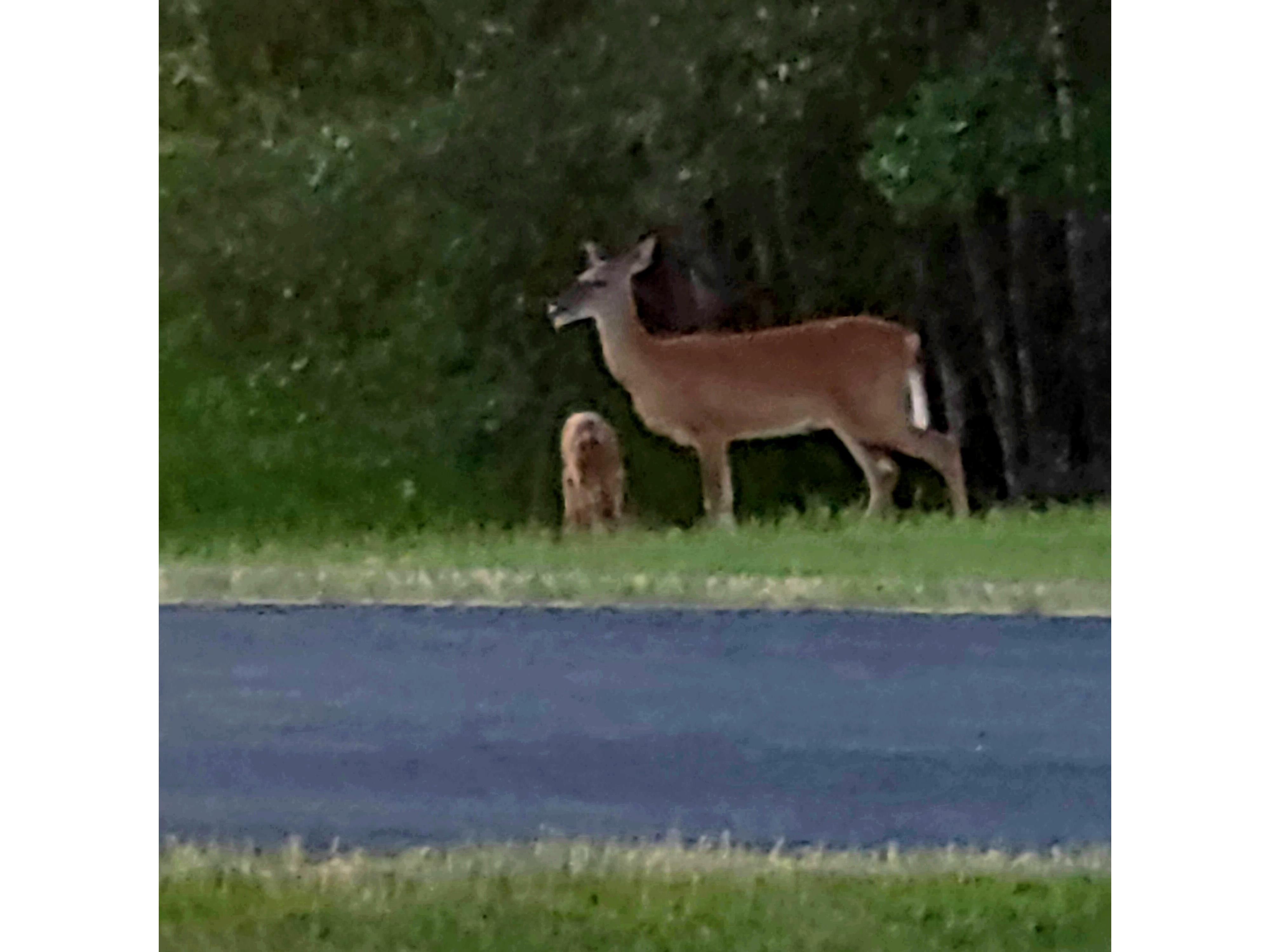 W16091 Dewey Northfield WI 54758 1952459 image43