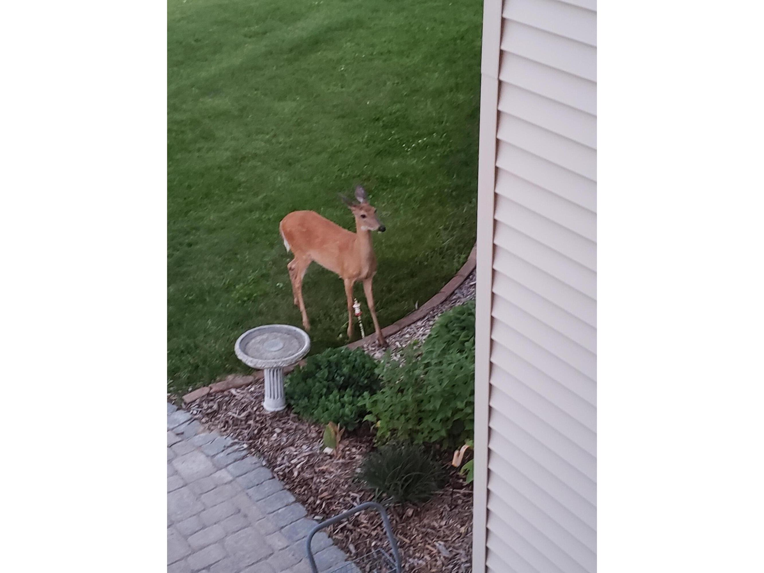 W16091 Dewey Northfield WI 54758 1952459 image45