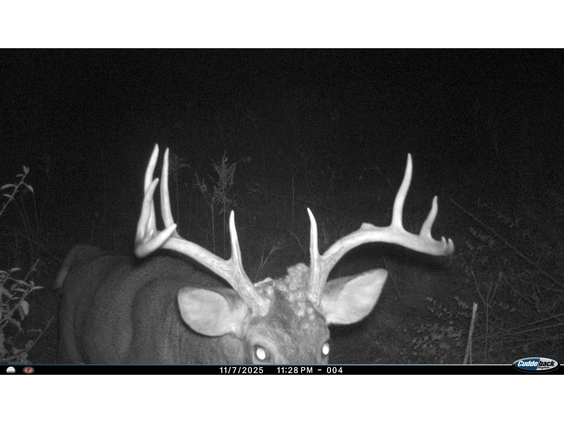 W16091 Dewey Northfield WI 54758 1952459 image47