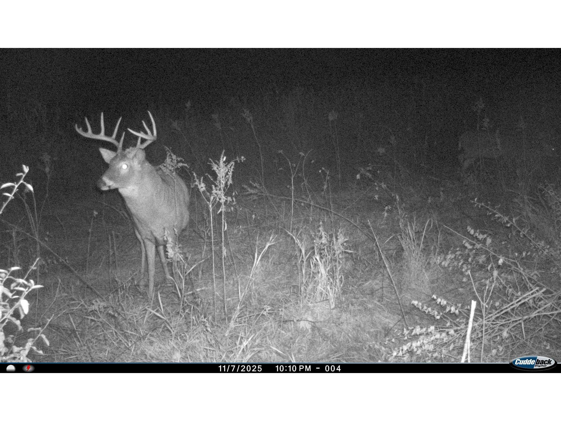 W16091 Dewey Northfield WI 54758 1952459 image52