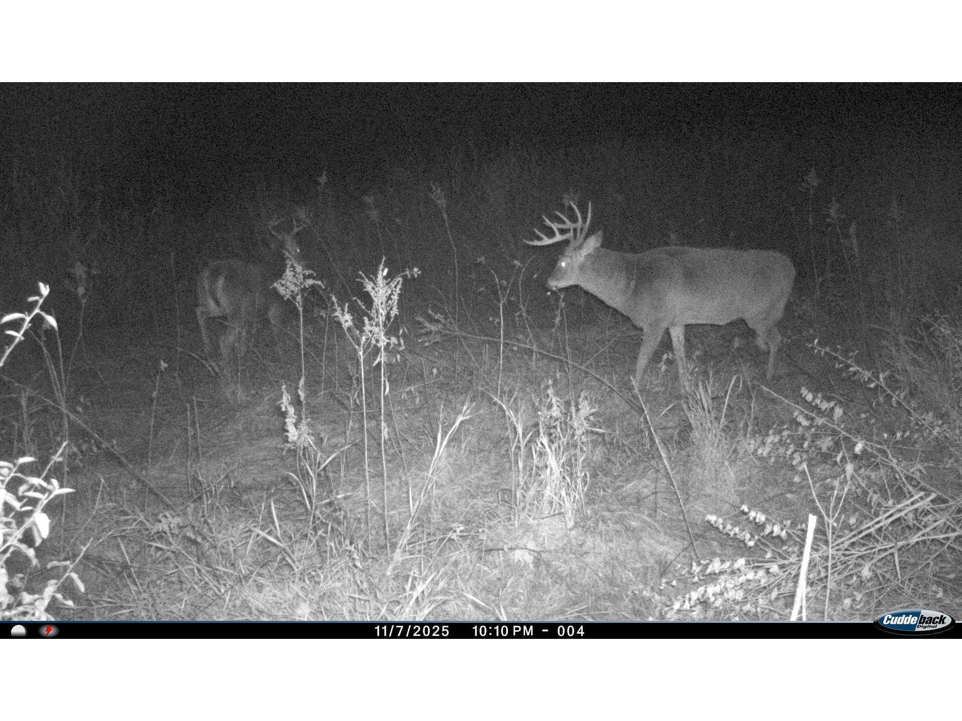 W16091 Dewey Northfield WI 54758 1952459 image54