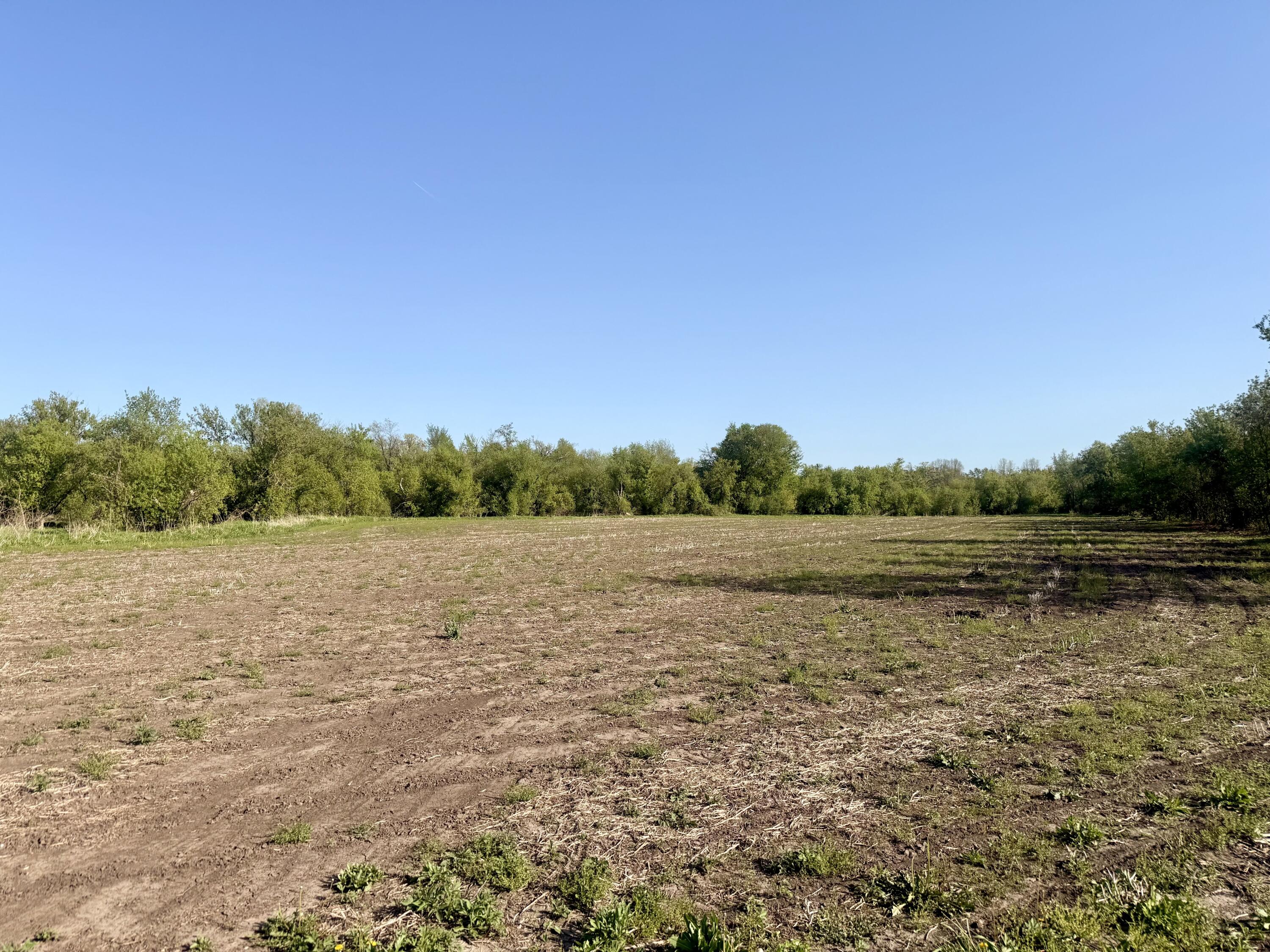 W16875 State Highway 95 Springfield WI 54659 1962995 image10