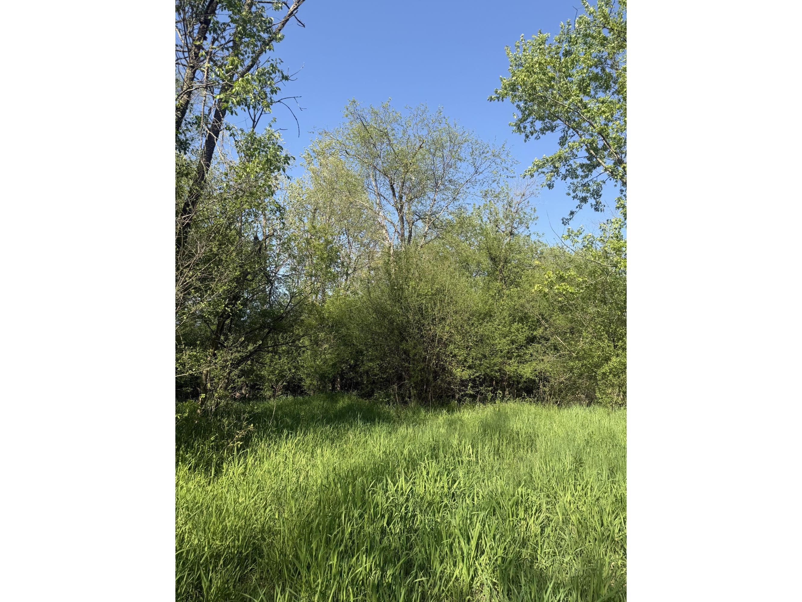 W16875 State Highway 95 Springfield WI 54659 1962995 image12