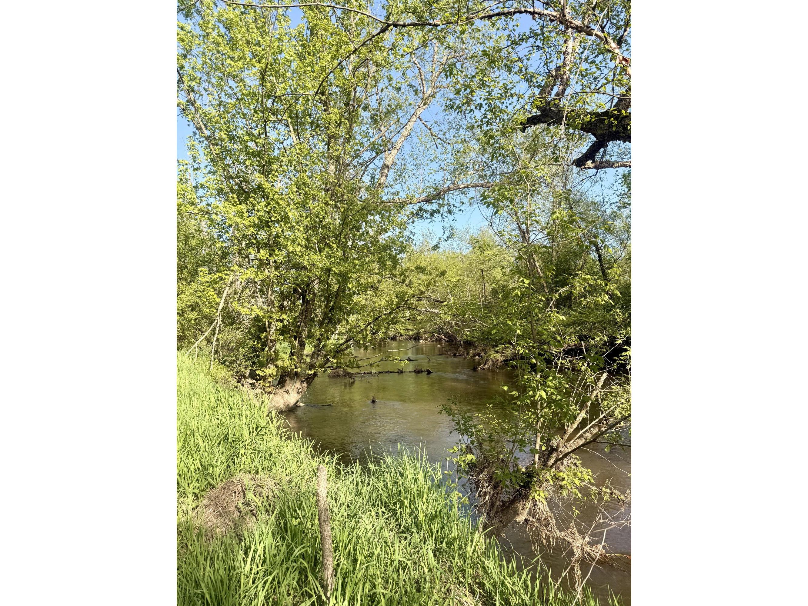 W16875 State Highway 95 Springfield WI 54659 1962995 image13